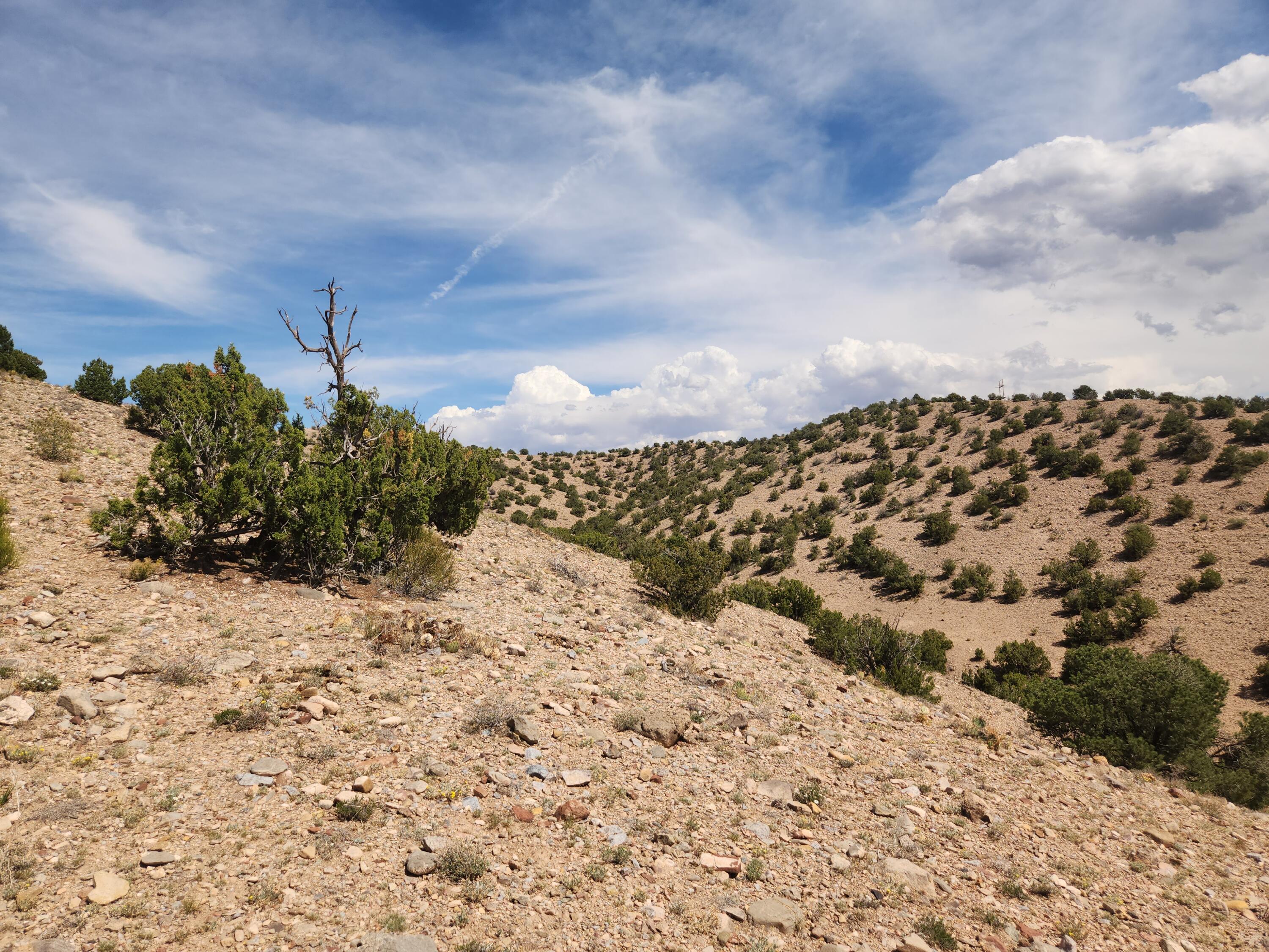 Photo 2 —  CAMINO HALCON