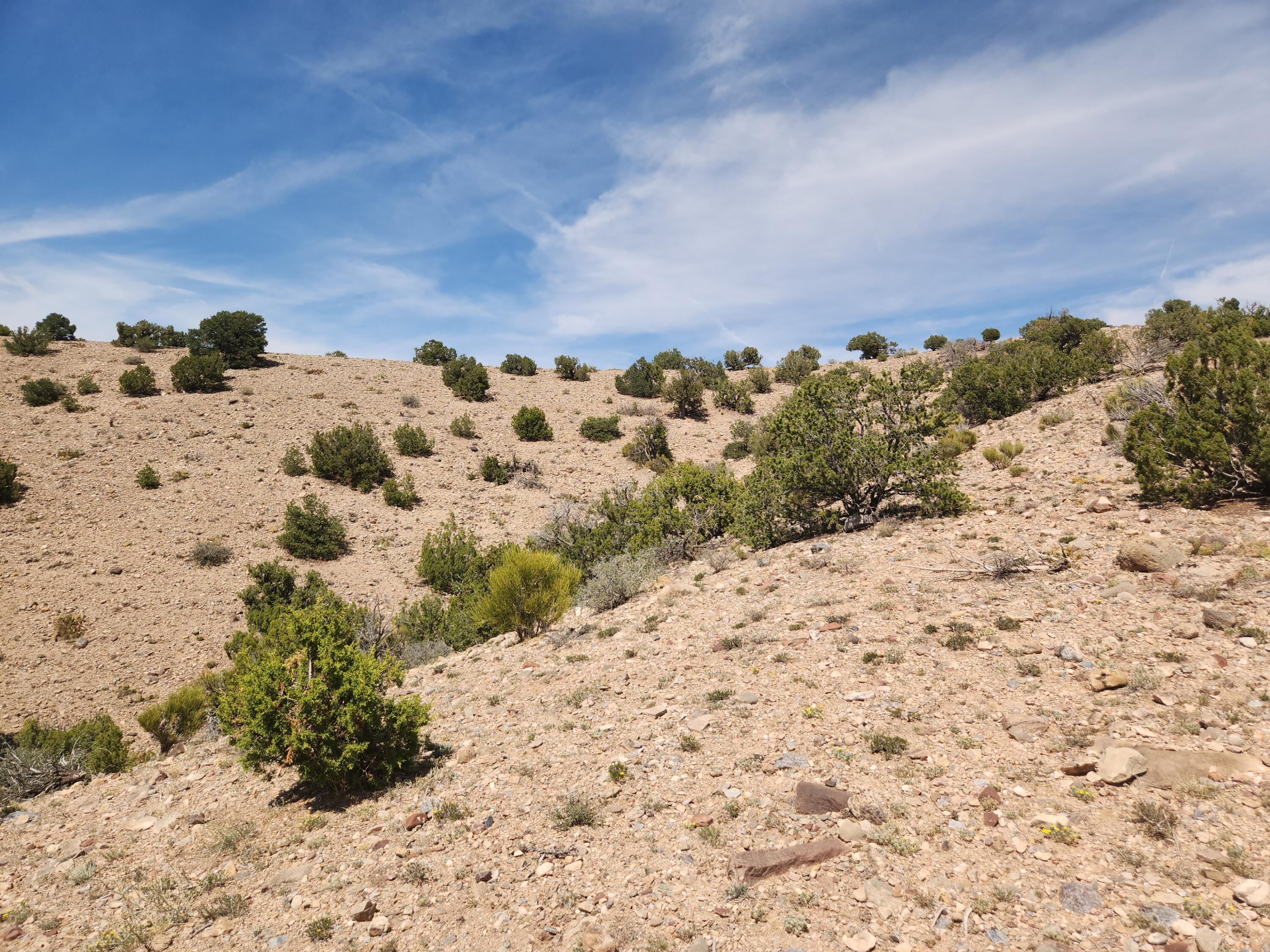 Photo 3 —  CAMINO HALCON