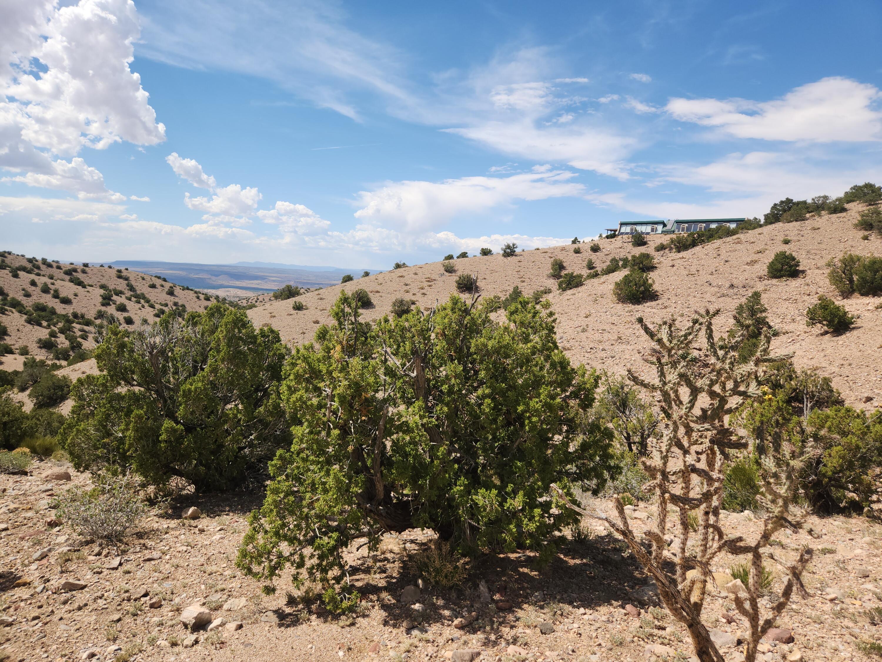 Photo 4 —  CAMINO HALCON