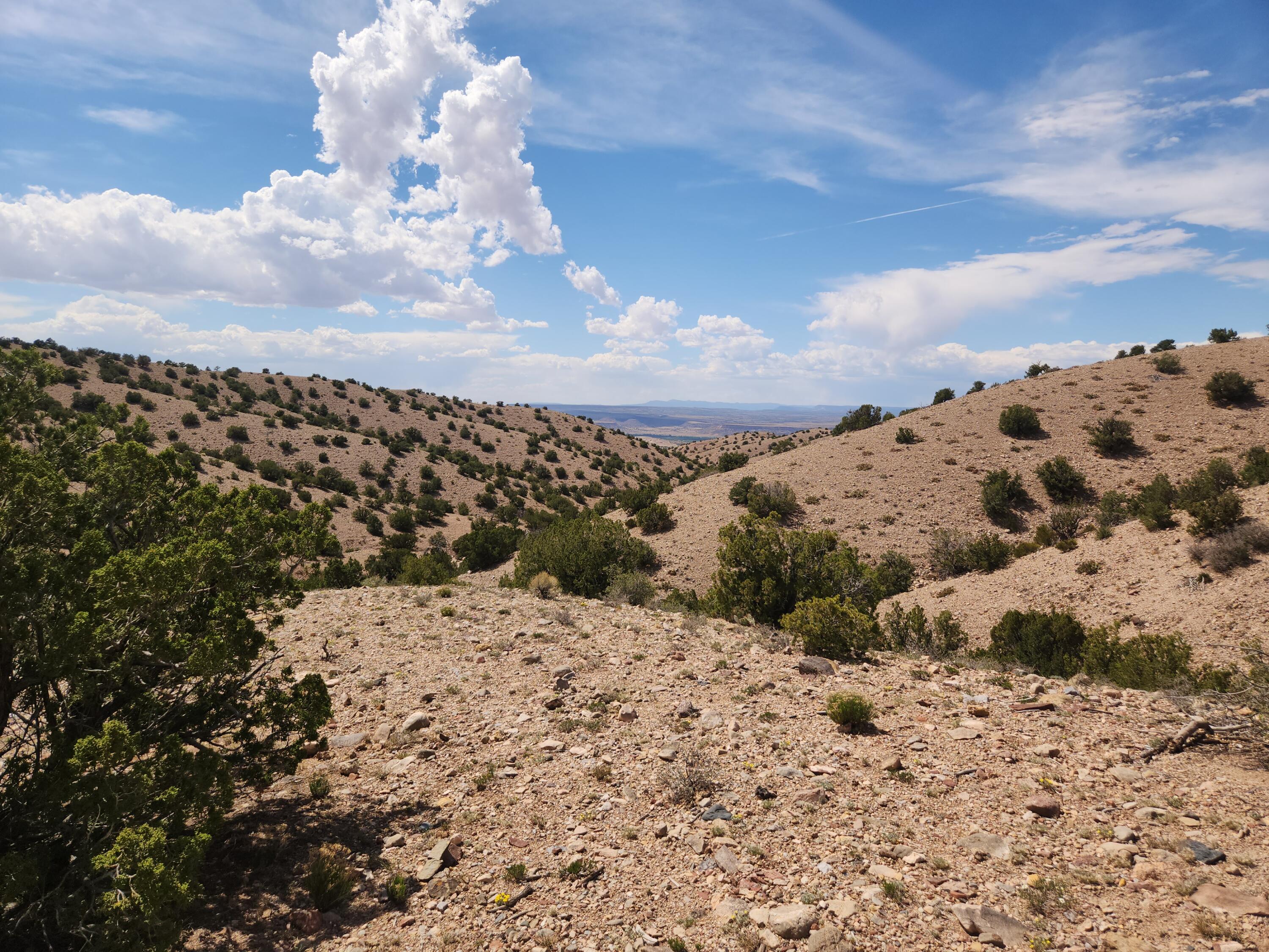 Photo 5 —  CAMINO HALCON