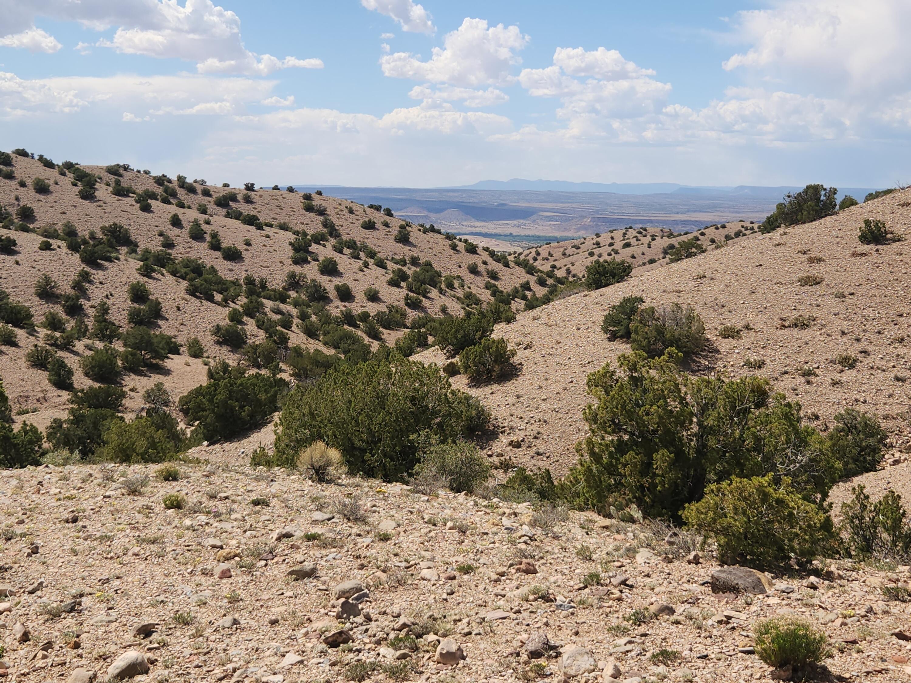 Photo 6 —  CAMINO HALCON