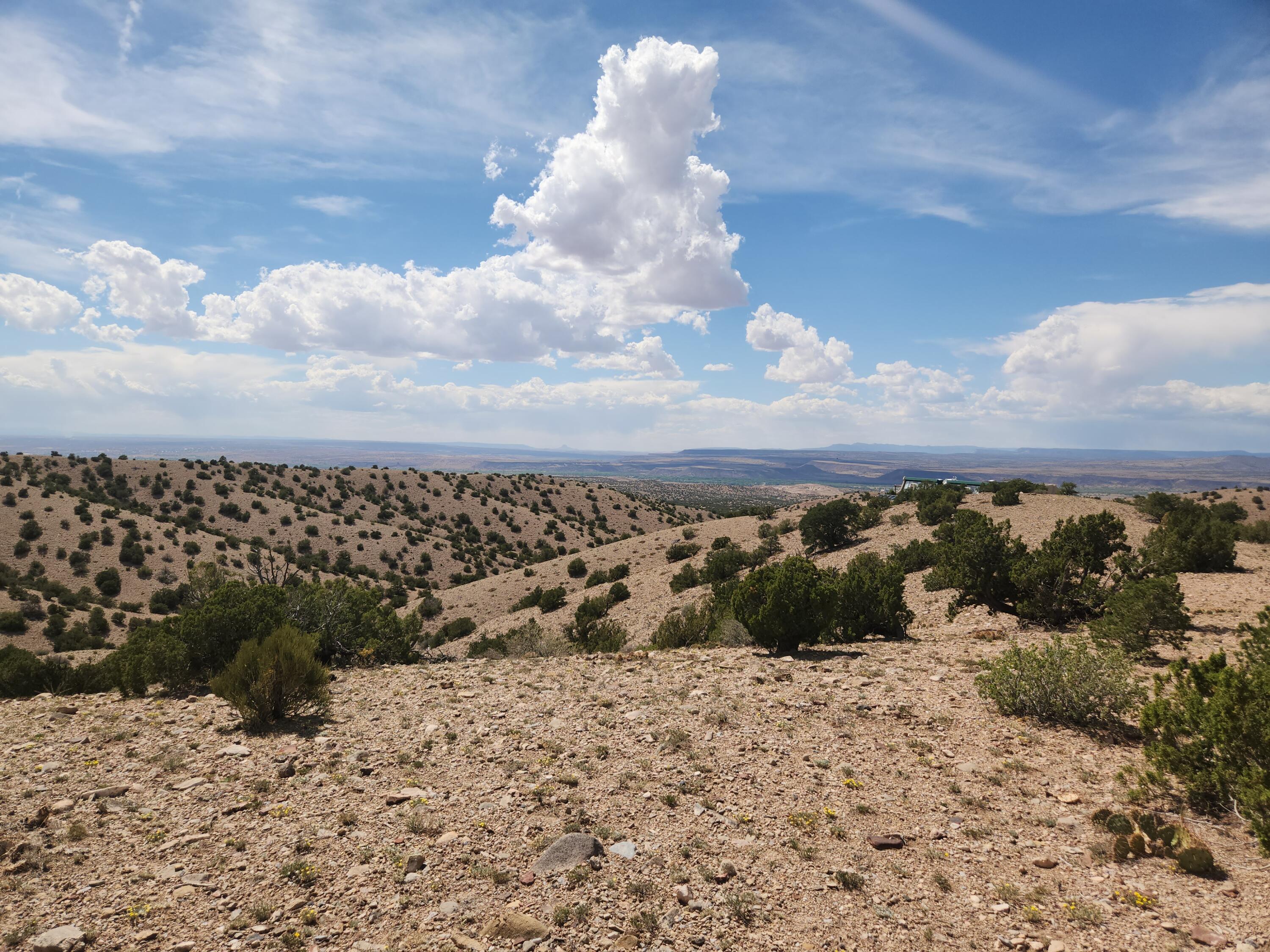 Photo 8 —  CAMINO HALCON