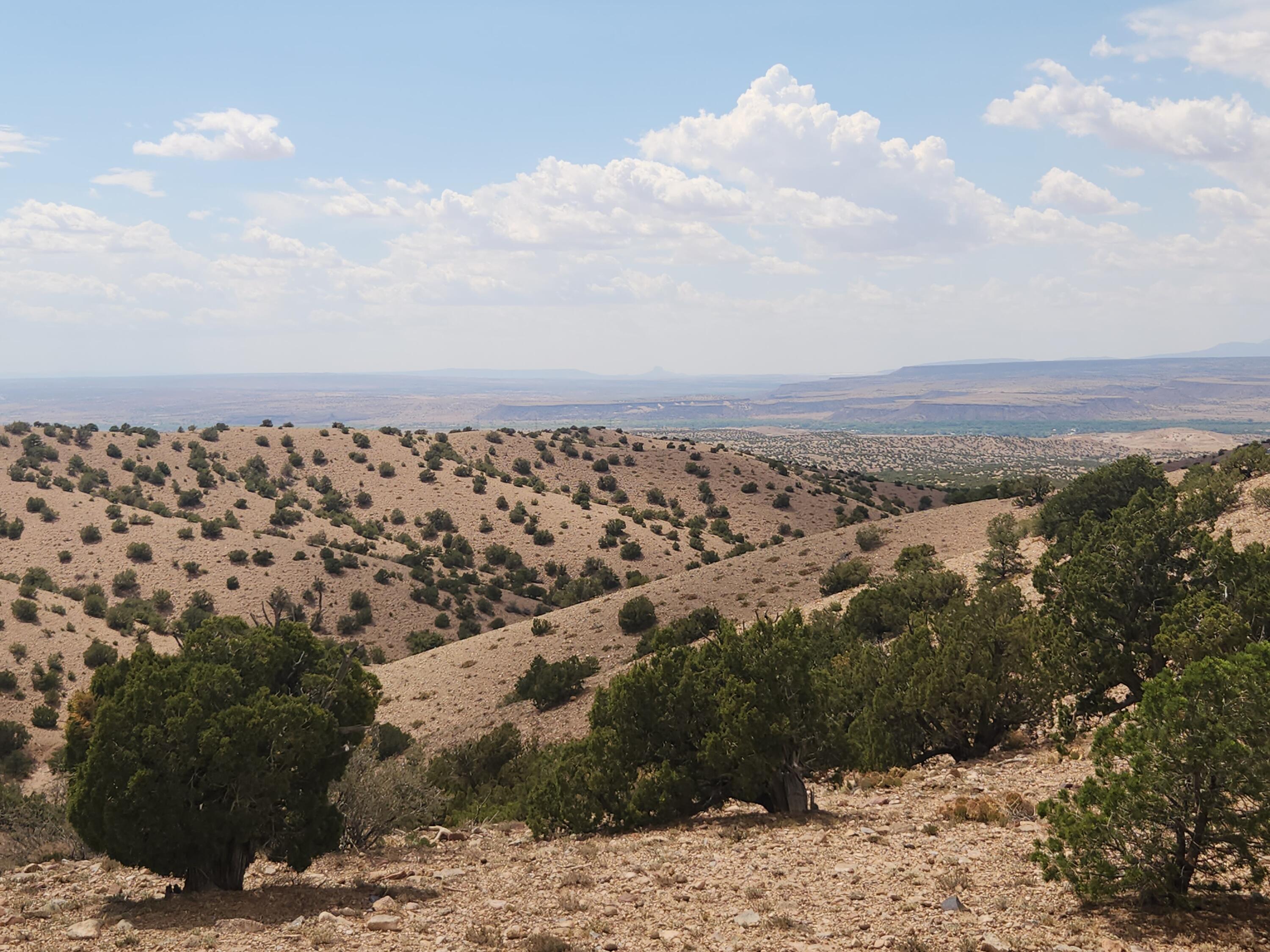 Photo 9 —  CAMINO HALCON