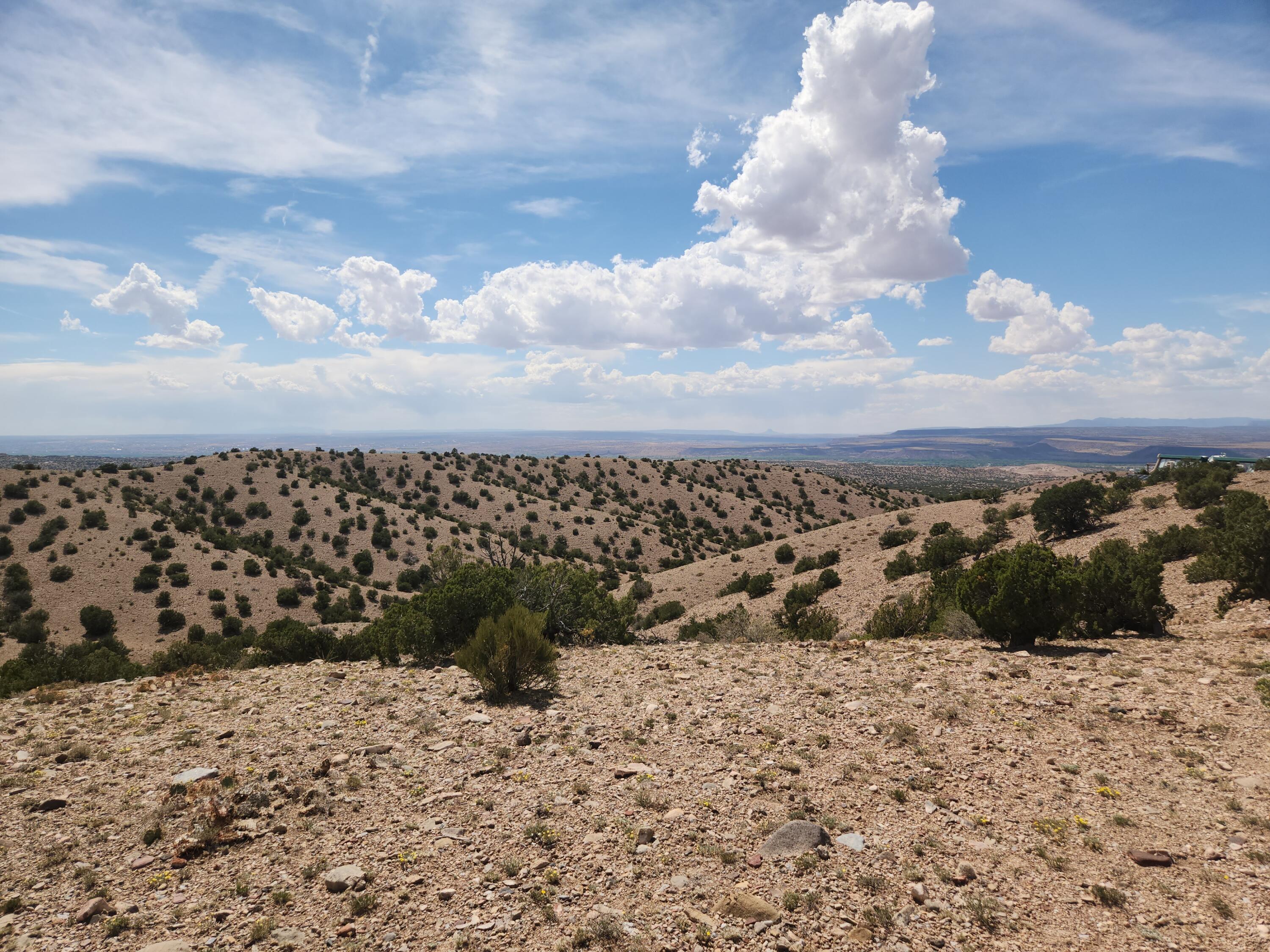 Photo 14 —  CAMINO HALCON