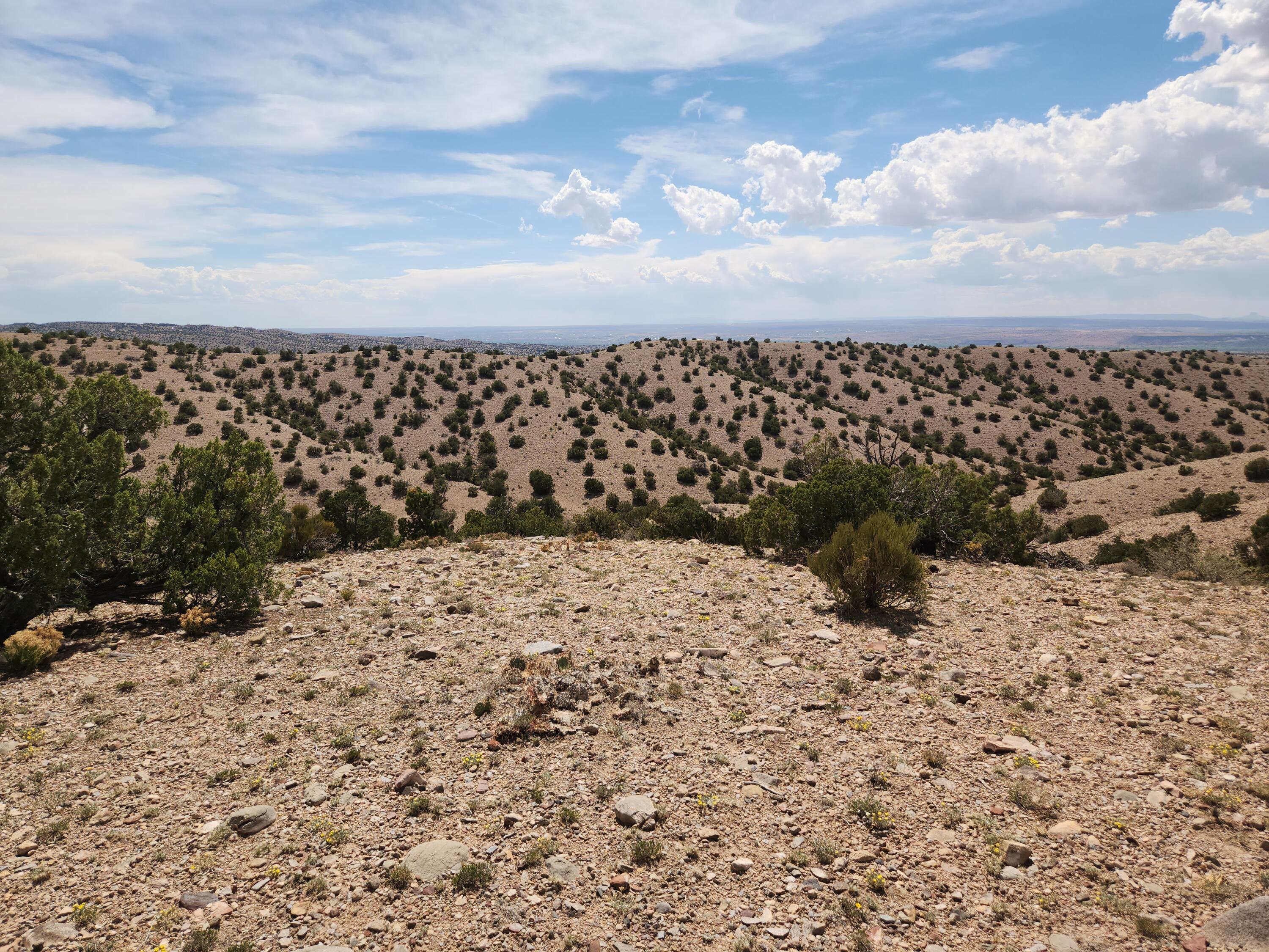 Photo 11 —  CAMINO HALCON