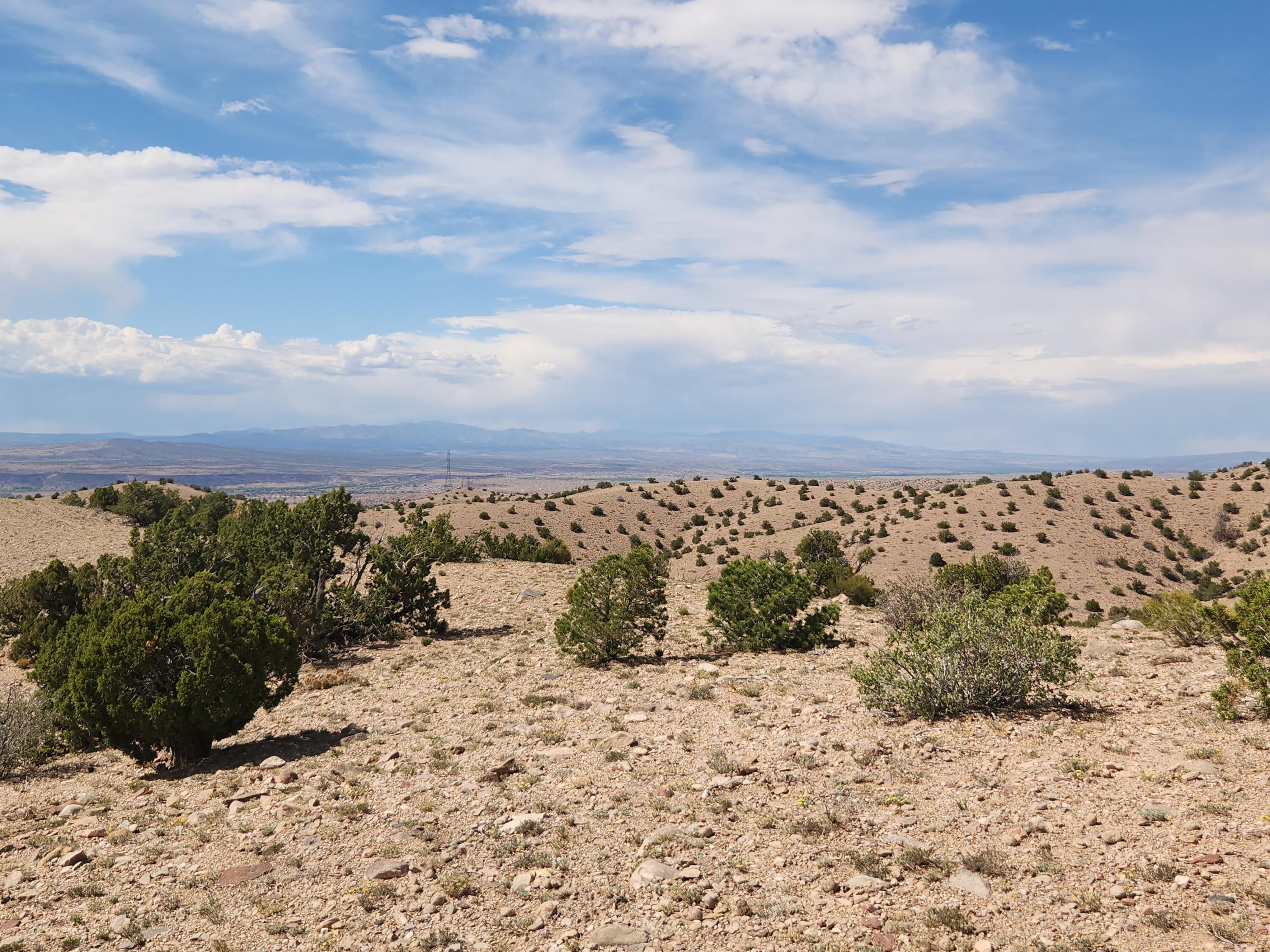 Photo 13 —  CAMINO HALCON