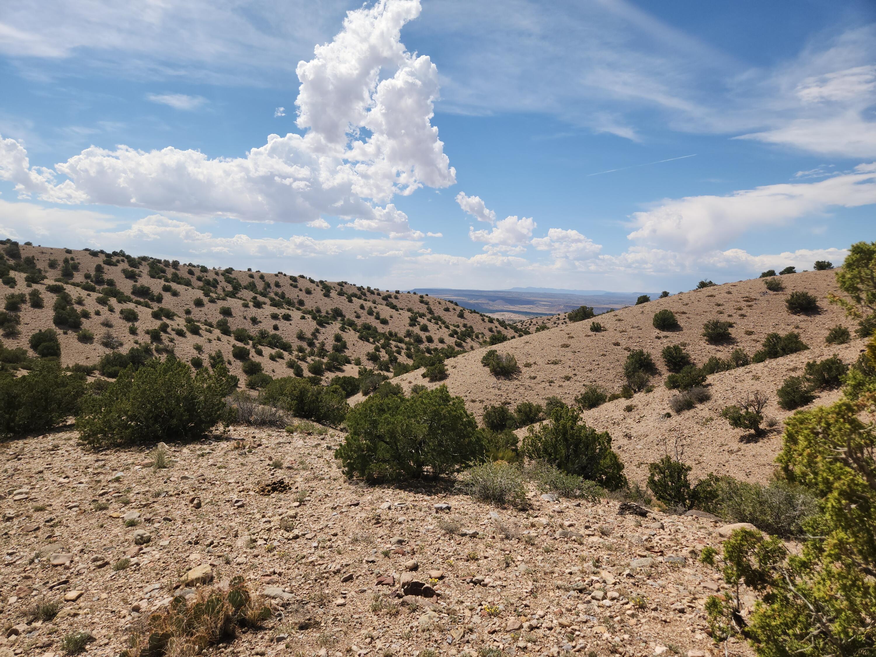 Photo 16 —  CAMINO HALCON