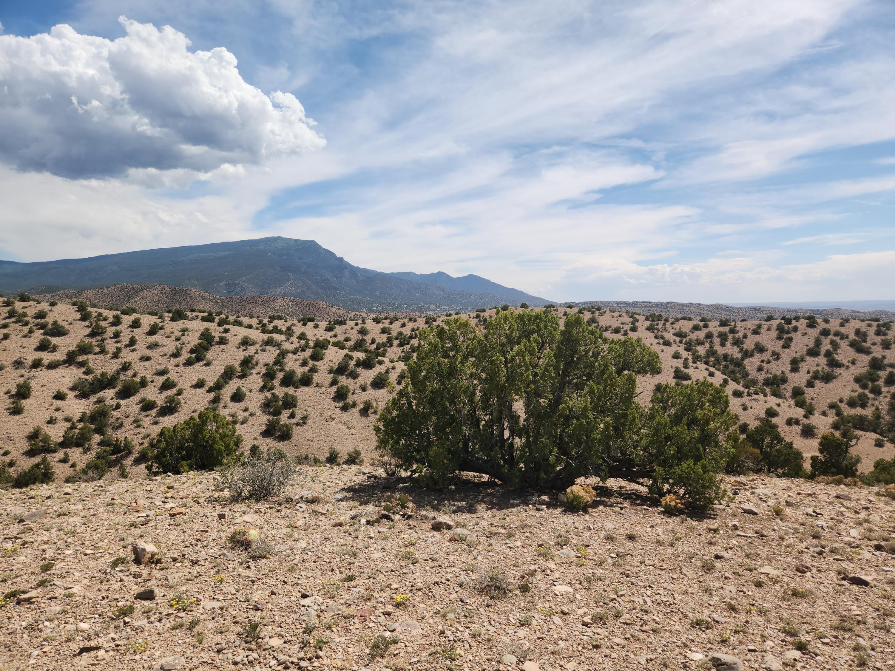 Photo 18 —  CAMINO HALCON