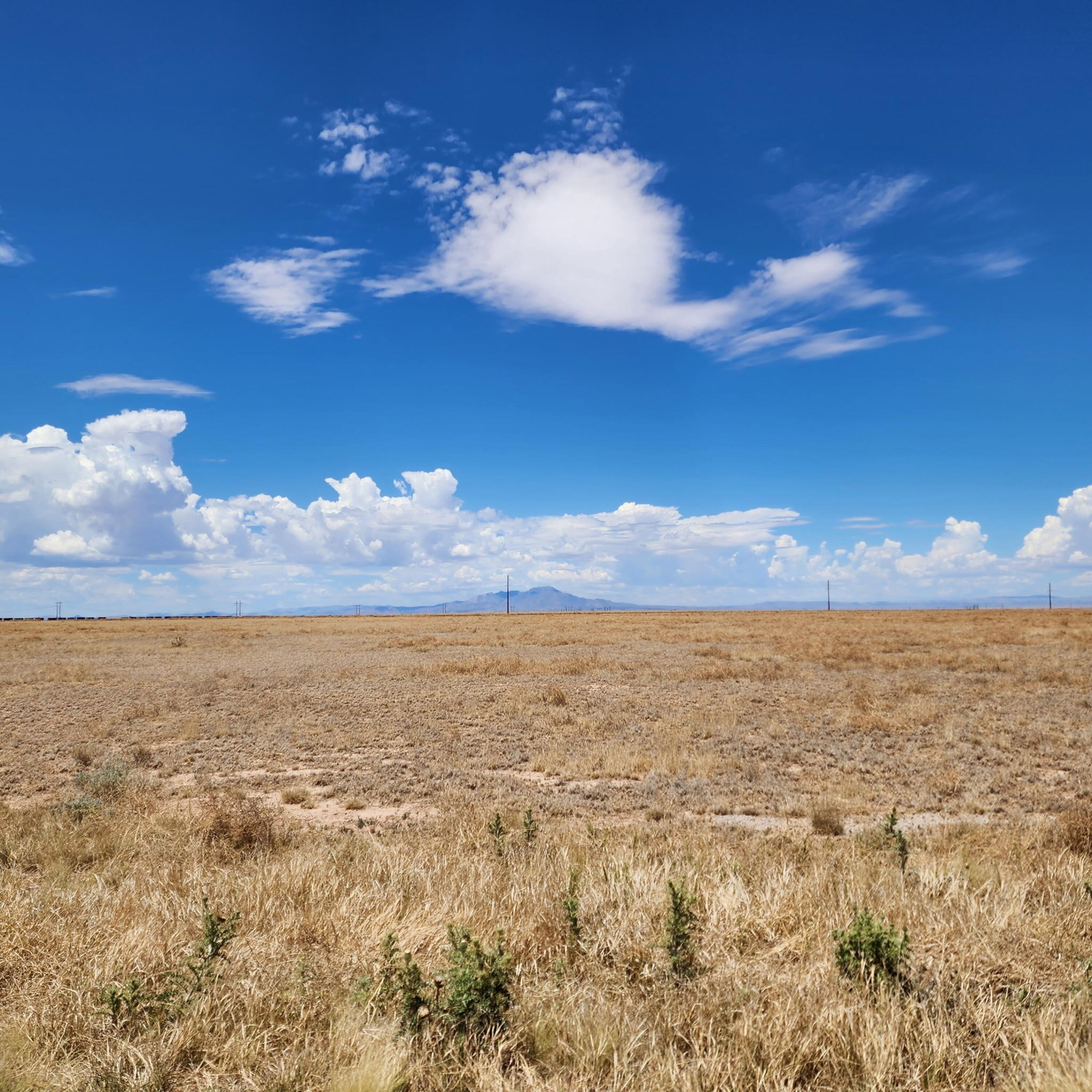 Photo 5 —  Tierra Grande Loop 21