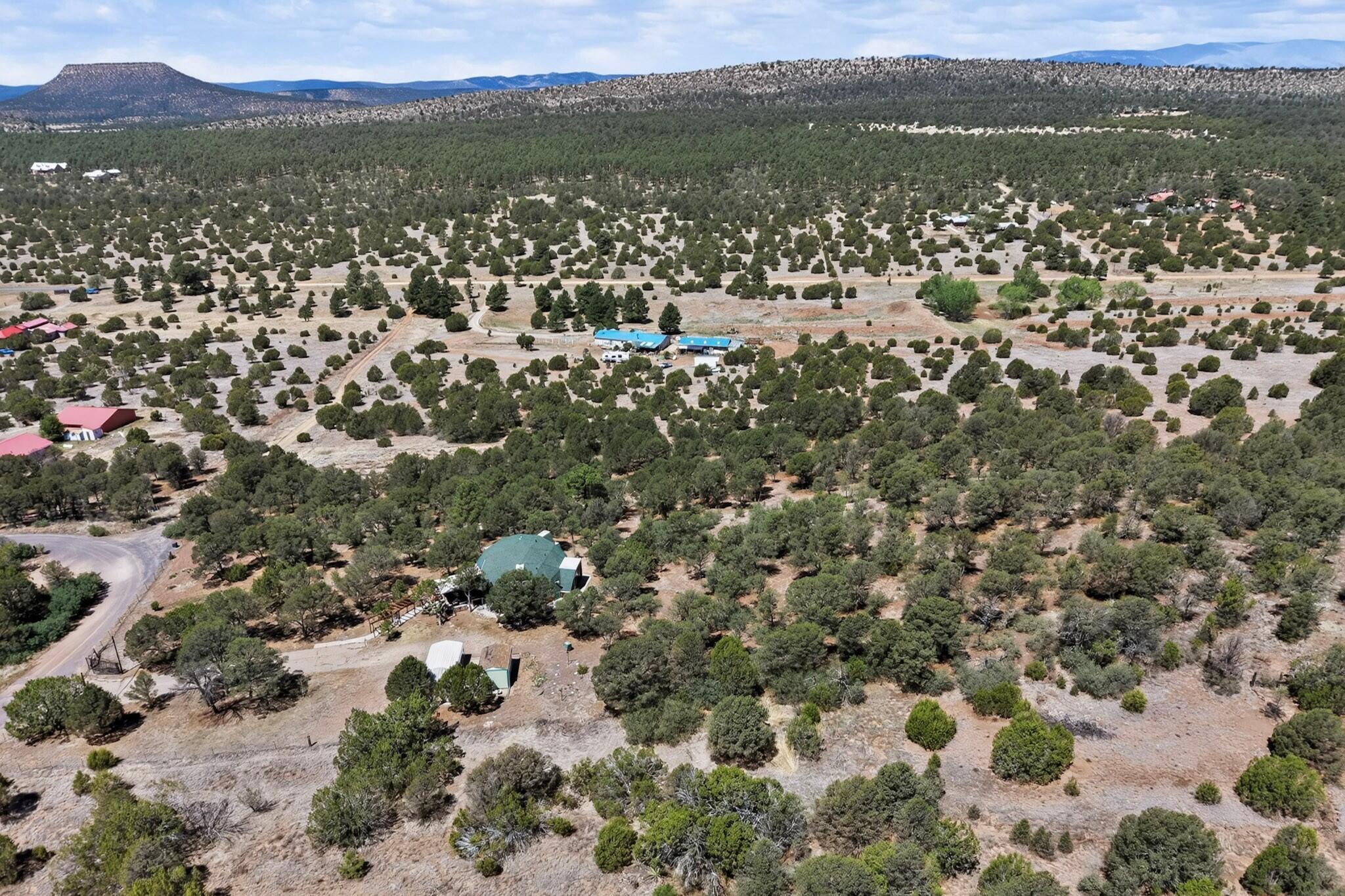 Photo 18 — 61 Coyote Road