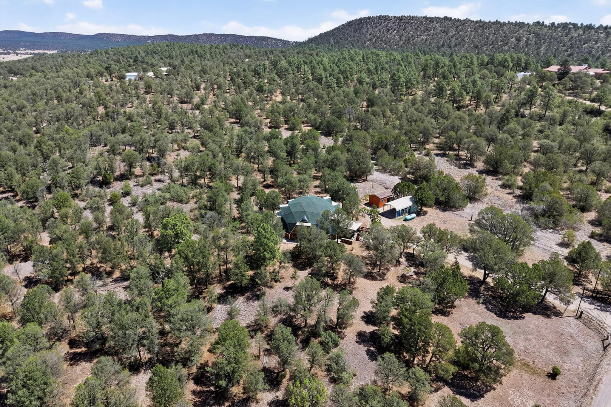 Photo 15 — 61 Coyote Road
