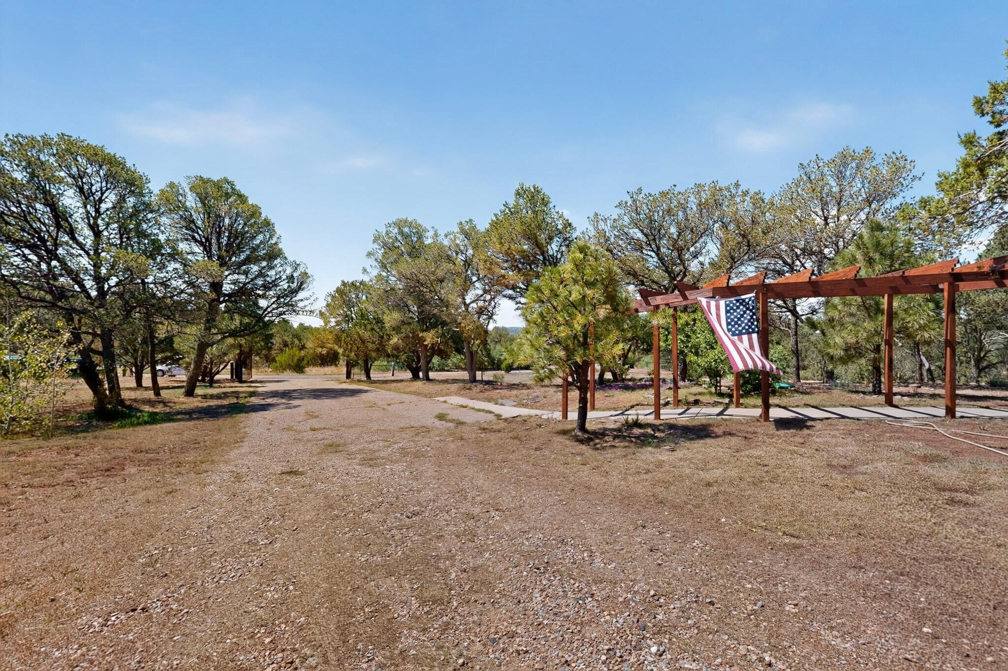 Photo 11 — 61 Coyote Road