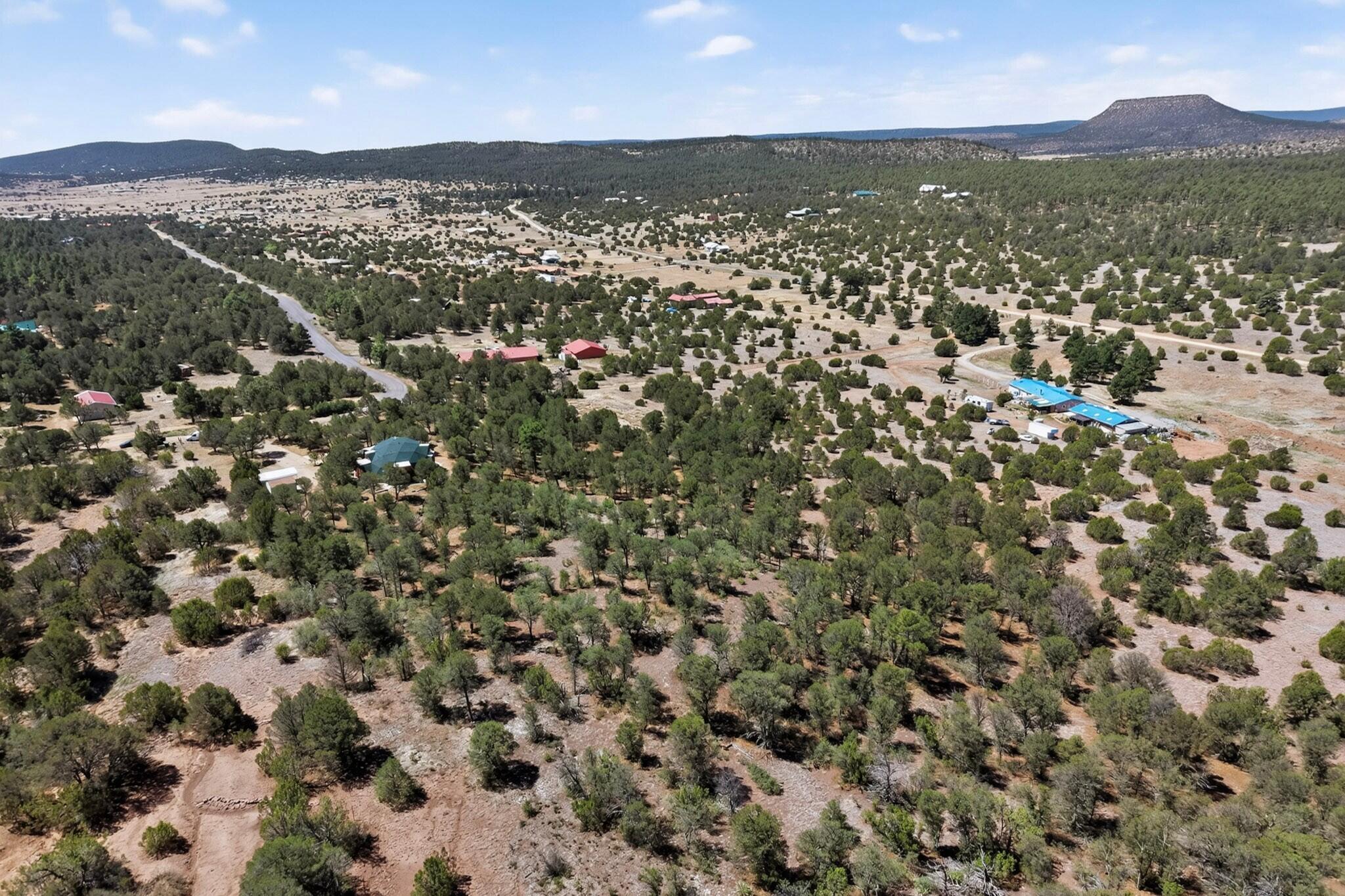 Photo 3 — 61 Coyote Road
