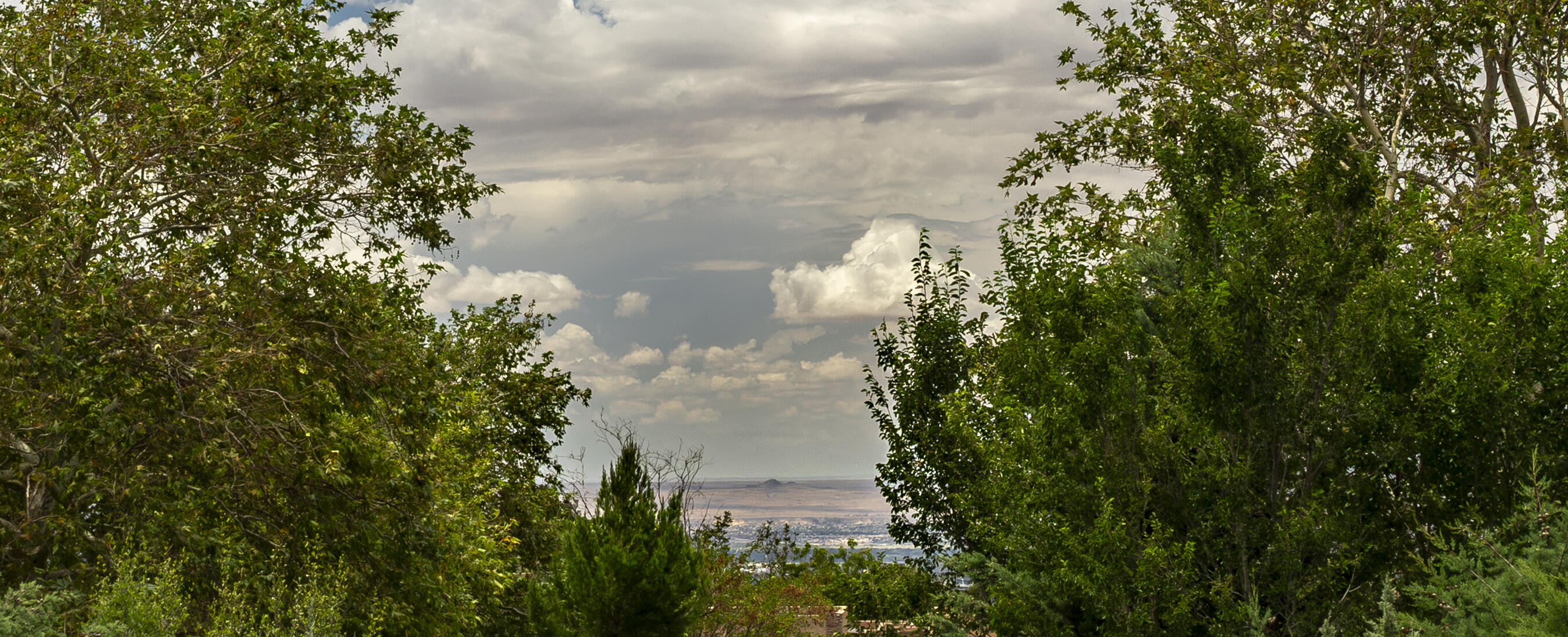Photo 10 — 6305 Greyleaf Trail NE