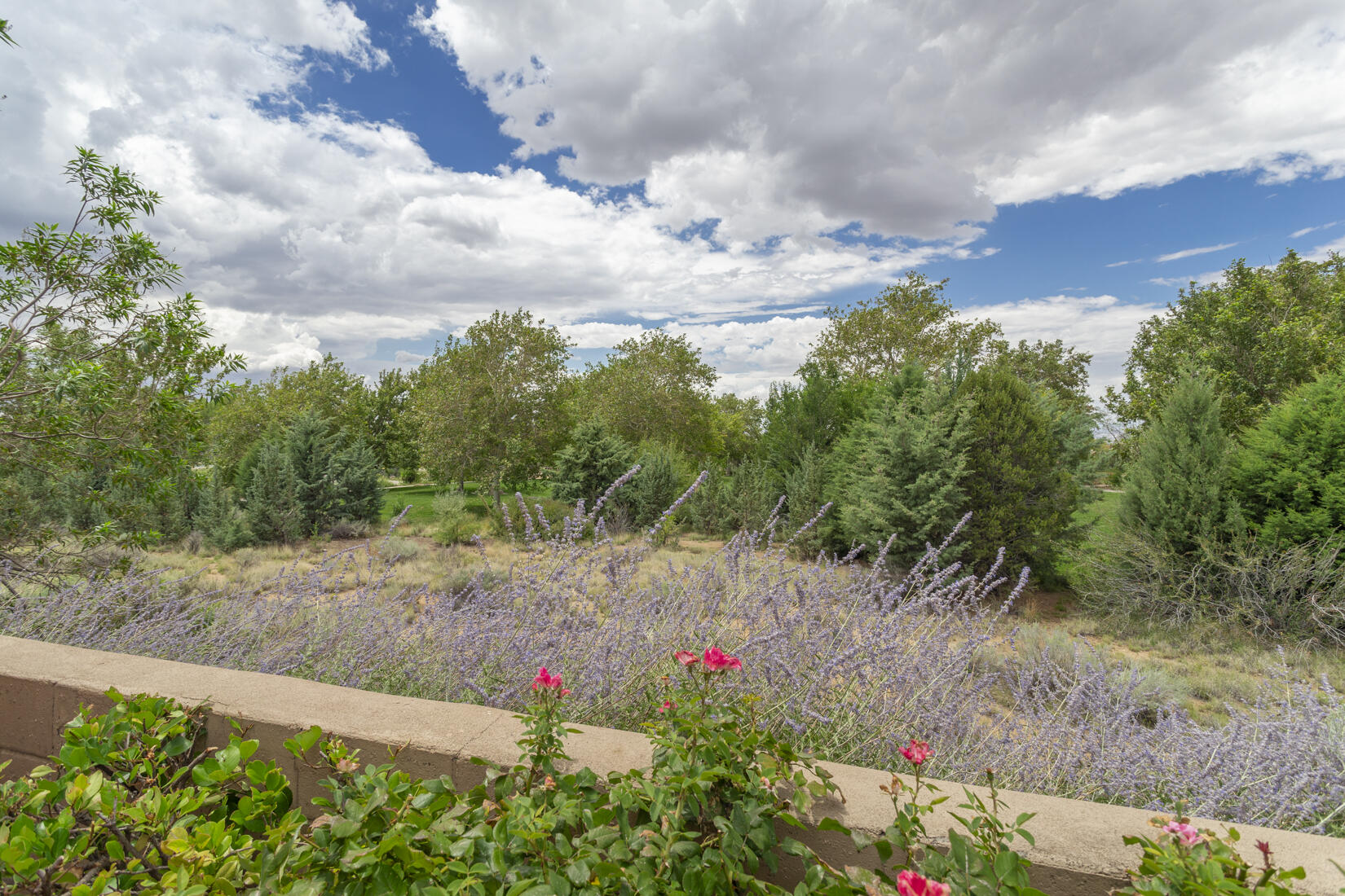 Photo 7 — 6305 Greyleaf Trail NE