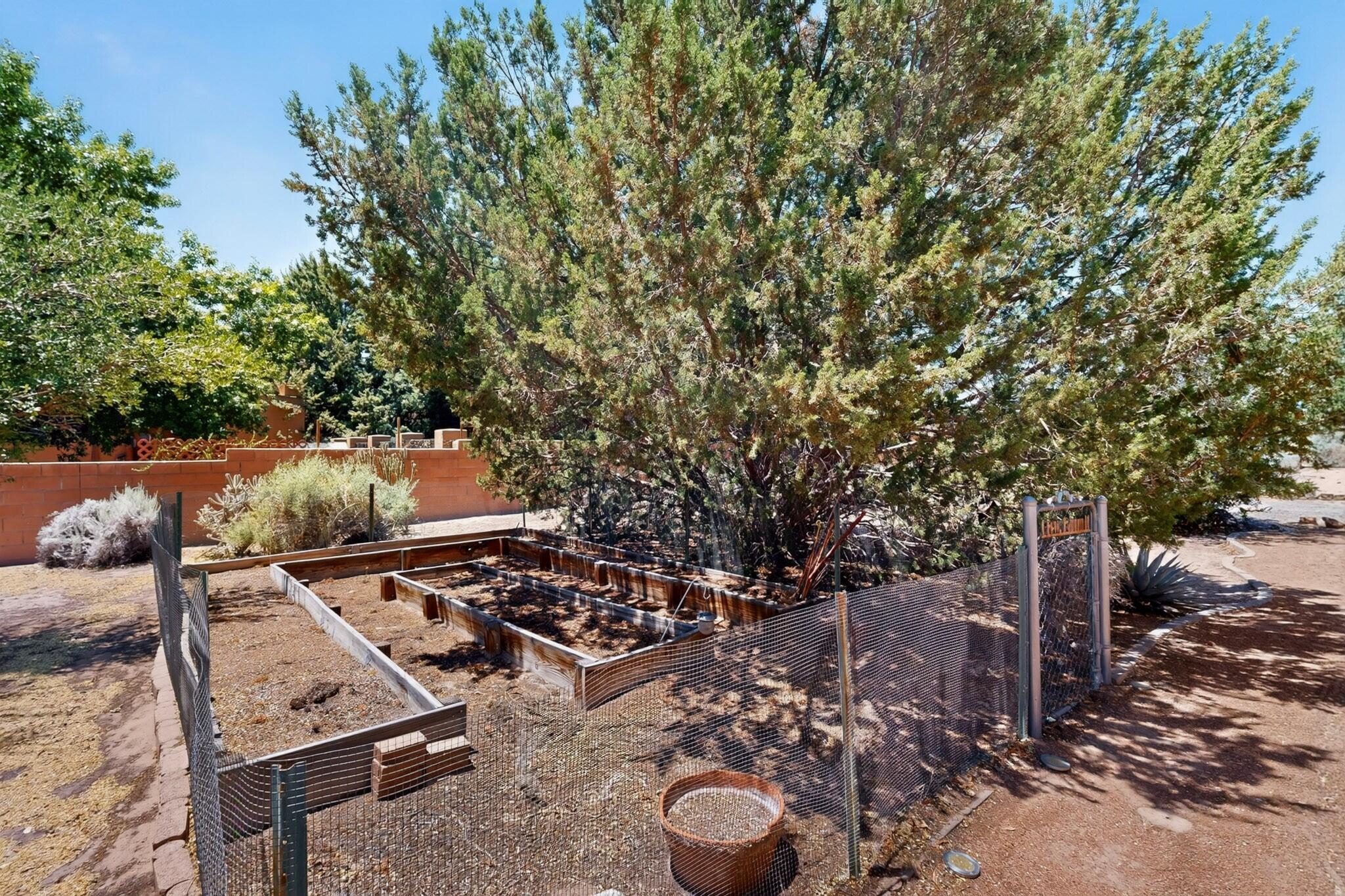 Photo 15 — 5716 Rio Mimbres Road NE