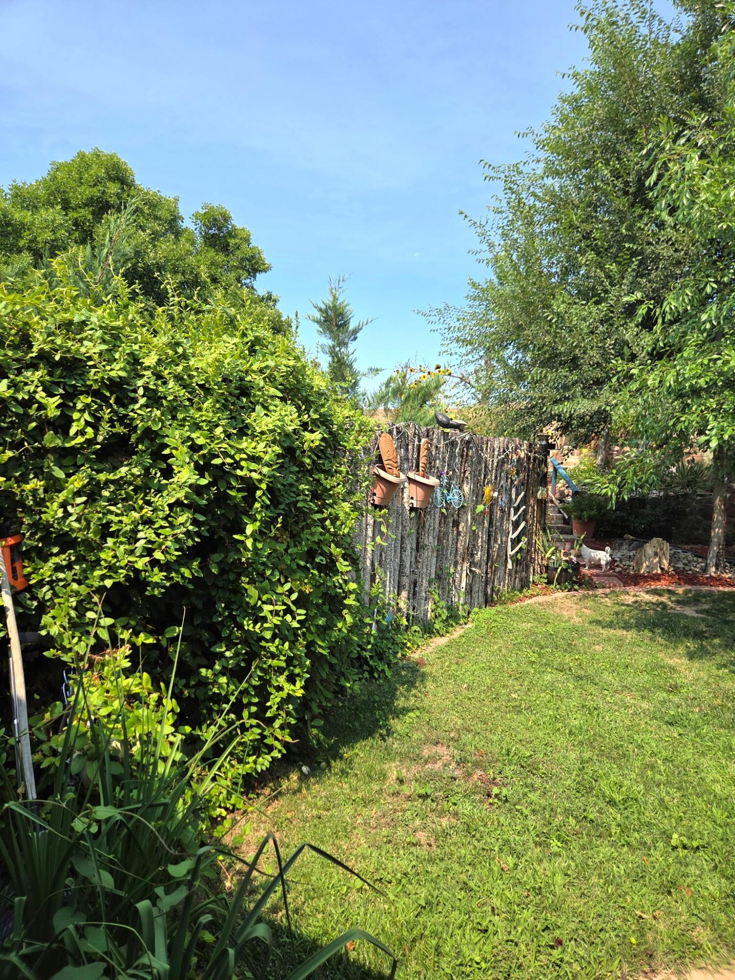 Photo 20 — 9201 Jill Patricia Street NW