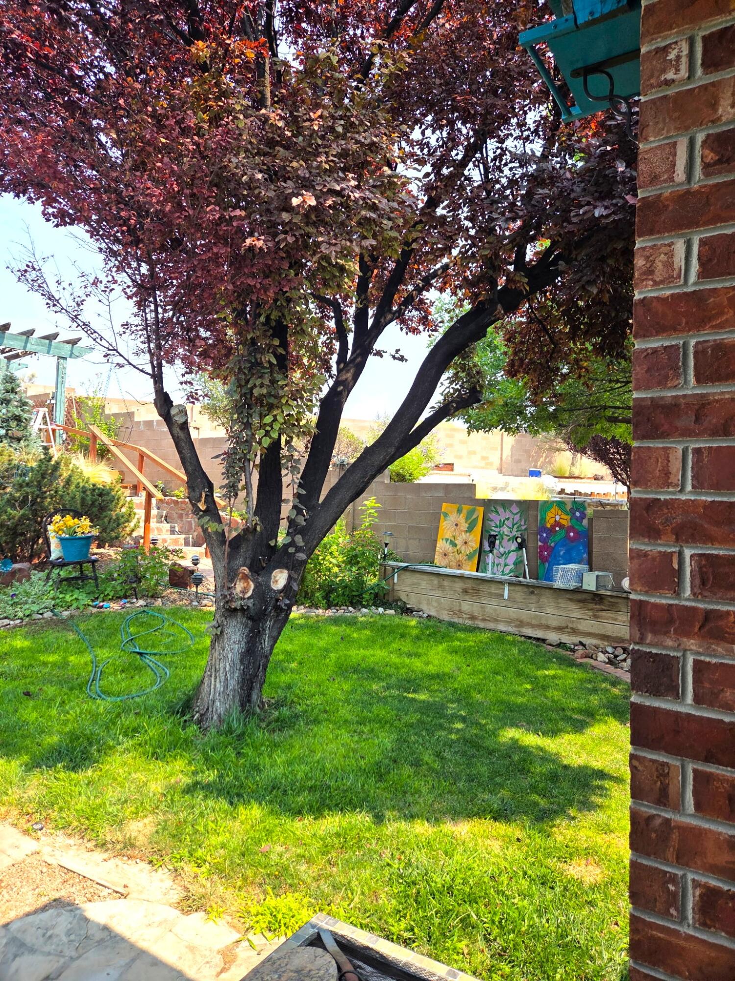 Photo 16 — 9201 Jill Patricia Street NW