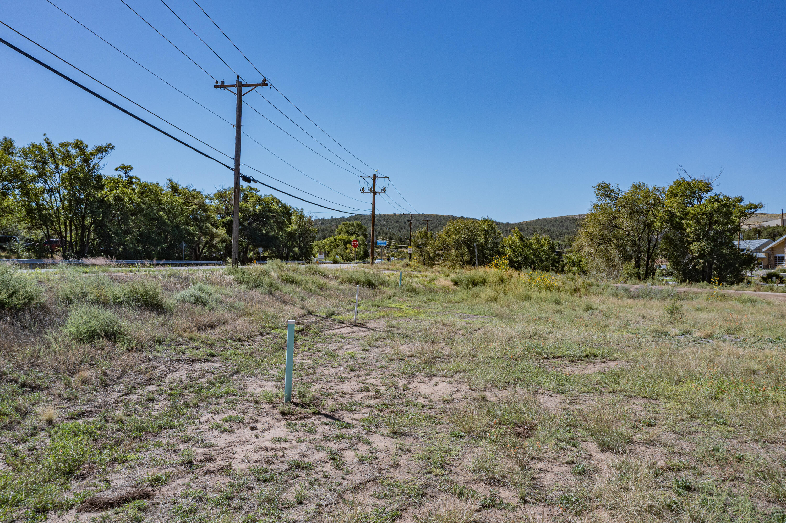 Photo 9 — 11807 NM 337