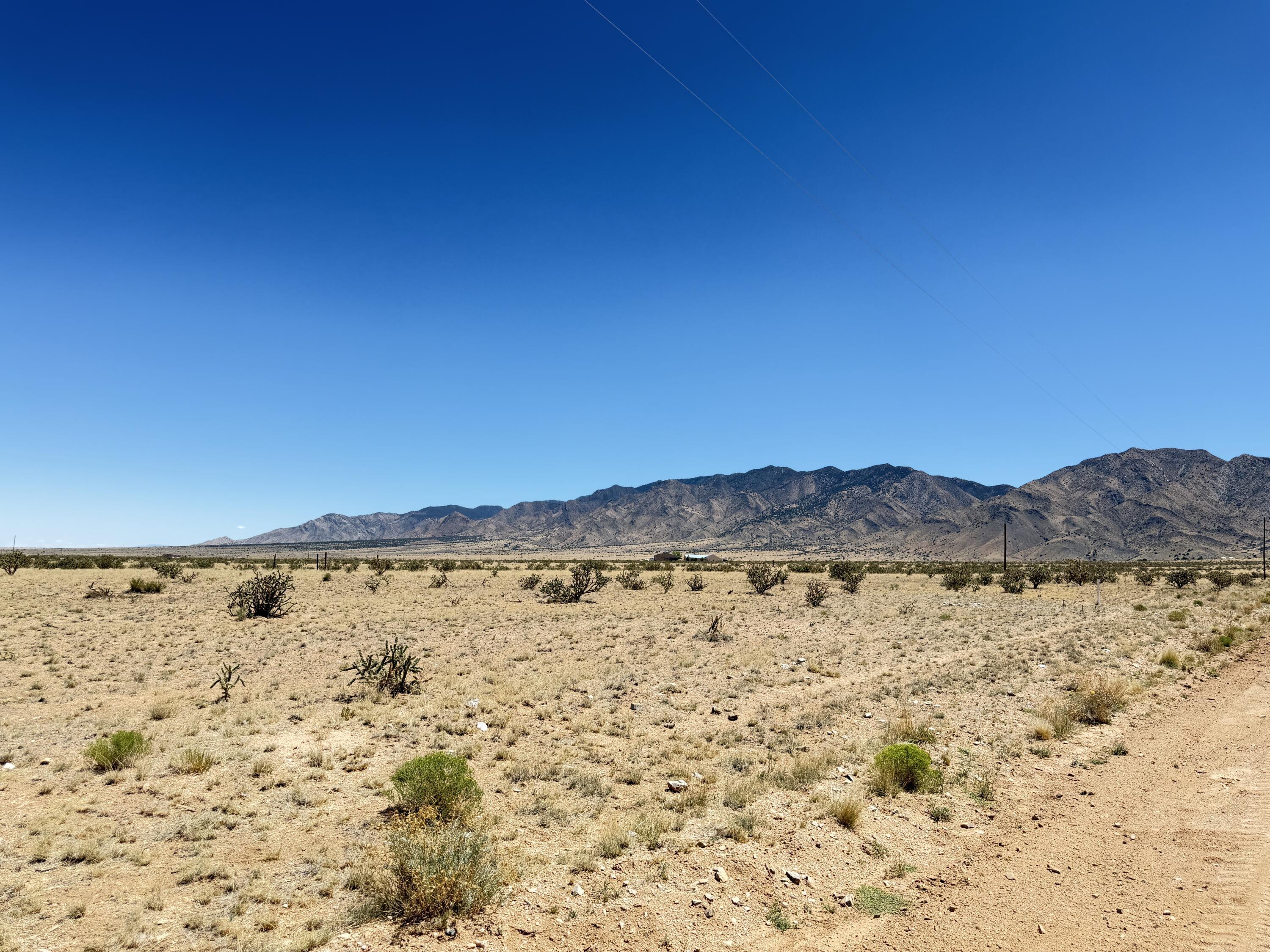 Photo 4 —  Diablo Road
