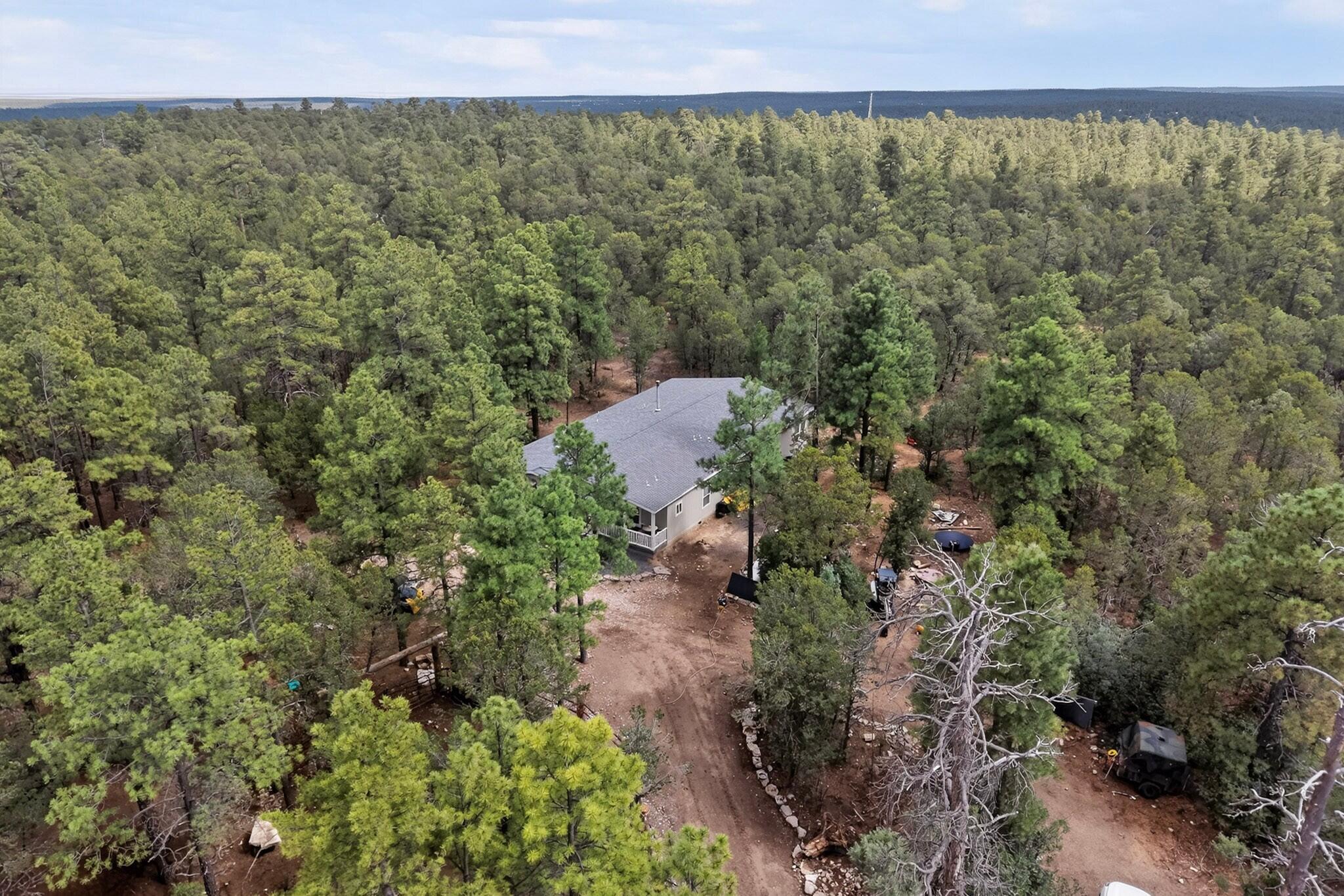 Photo 11 — 34 N Oak Flat Road