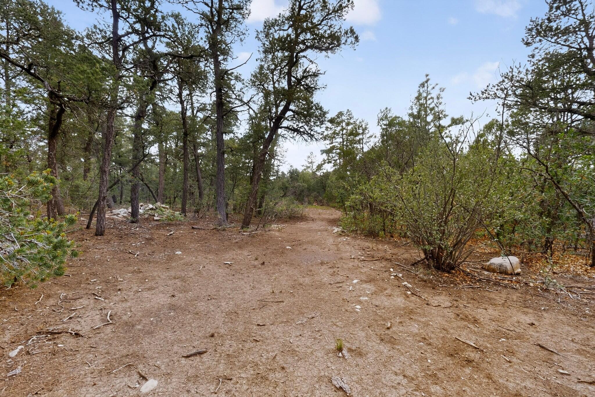 Photo 8 — 34 N Oak Flat Road