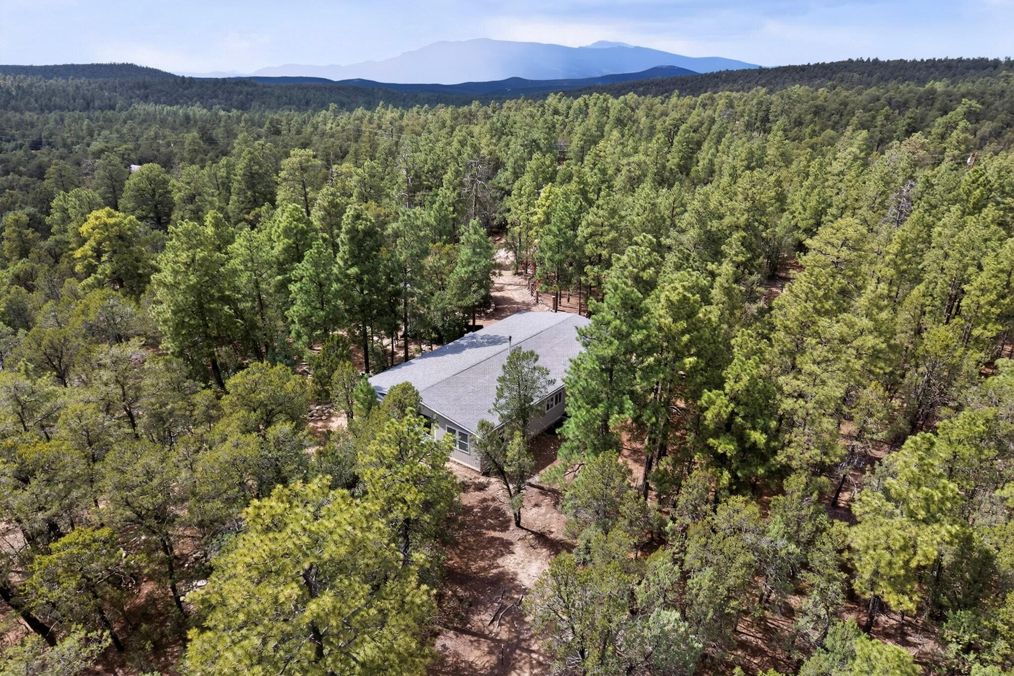 Photo 7 — 34 N Oak Flat Road