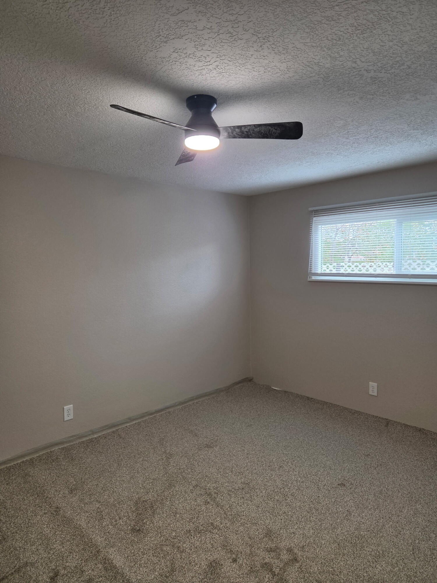 Photo 5 — 2903 Madison Street NE