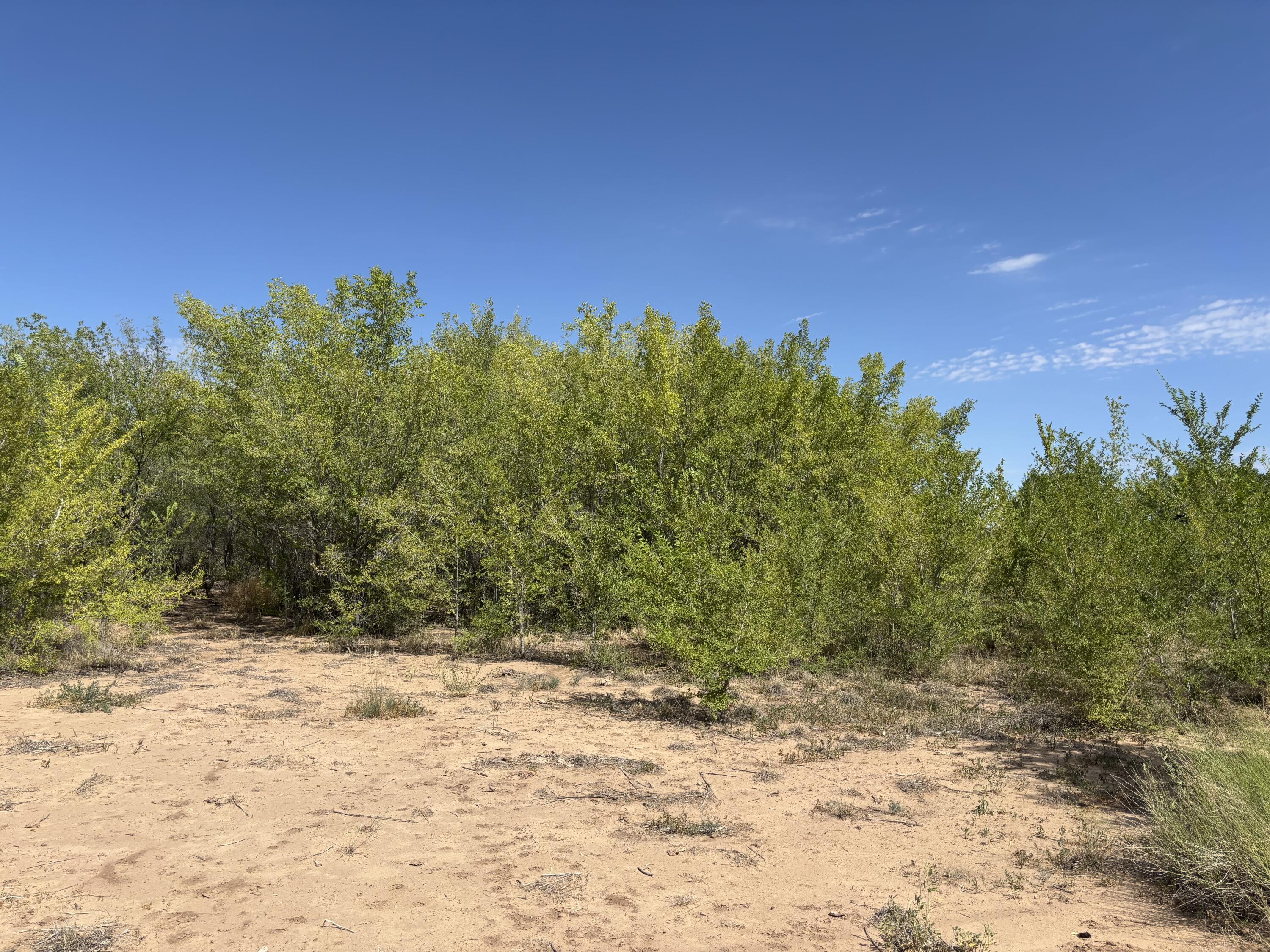 Photo 2 —  Darla (Tract 4) Drive
