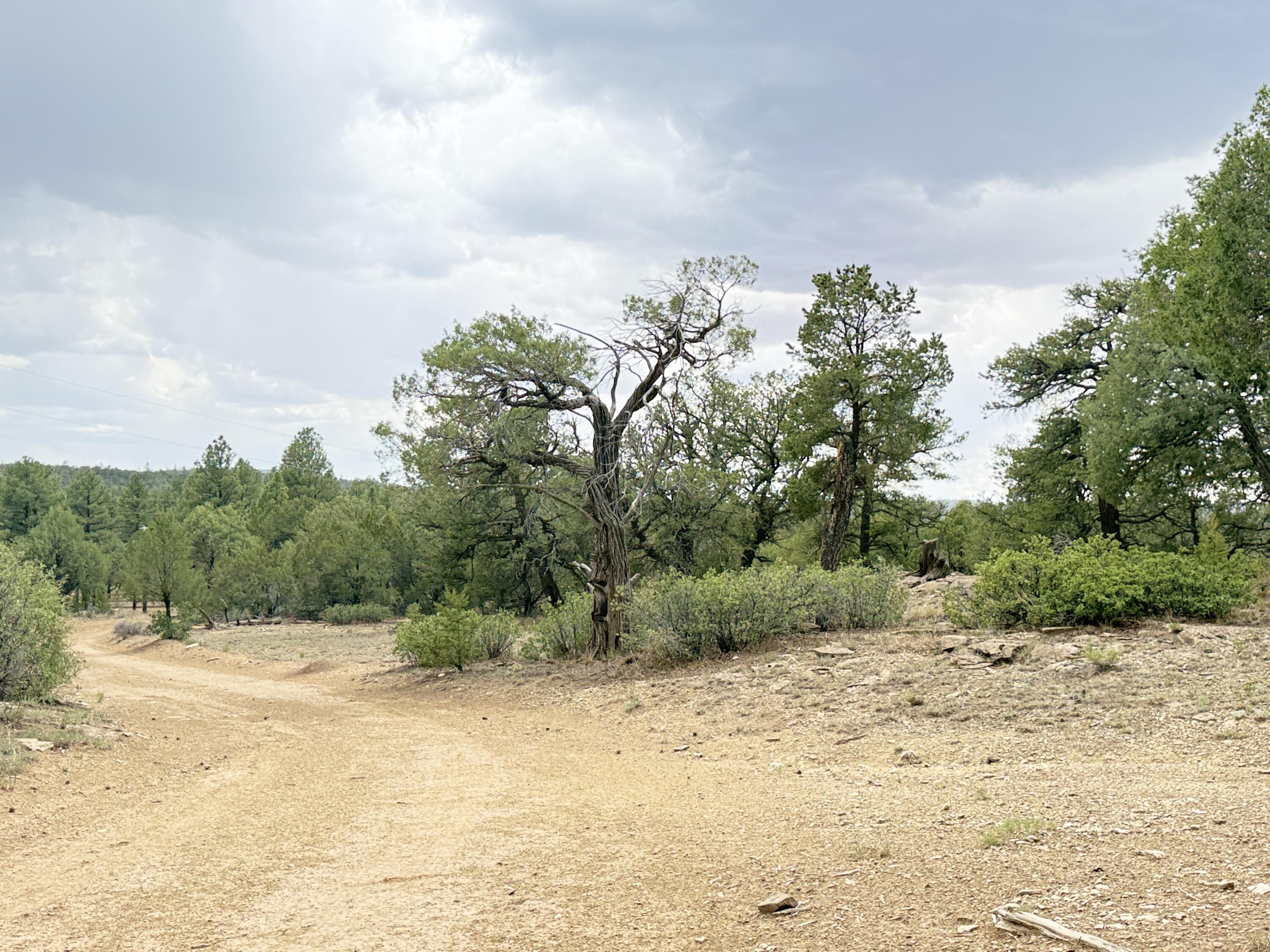 Photo 15 — 37 Lasso Lane