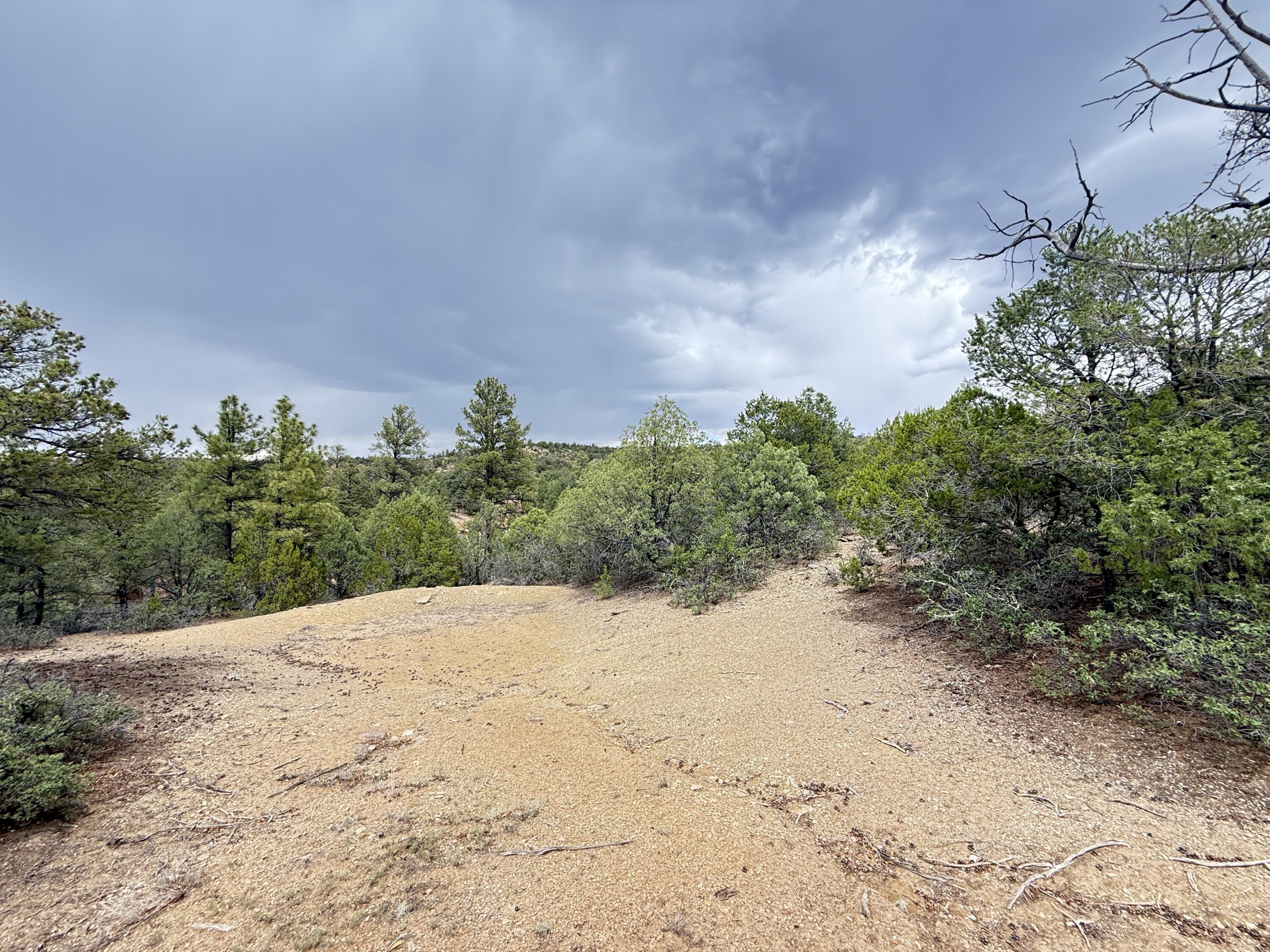 Photo 13 — 37 Lasso Lane