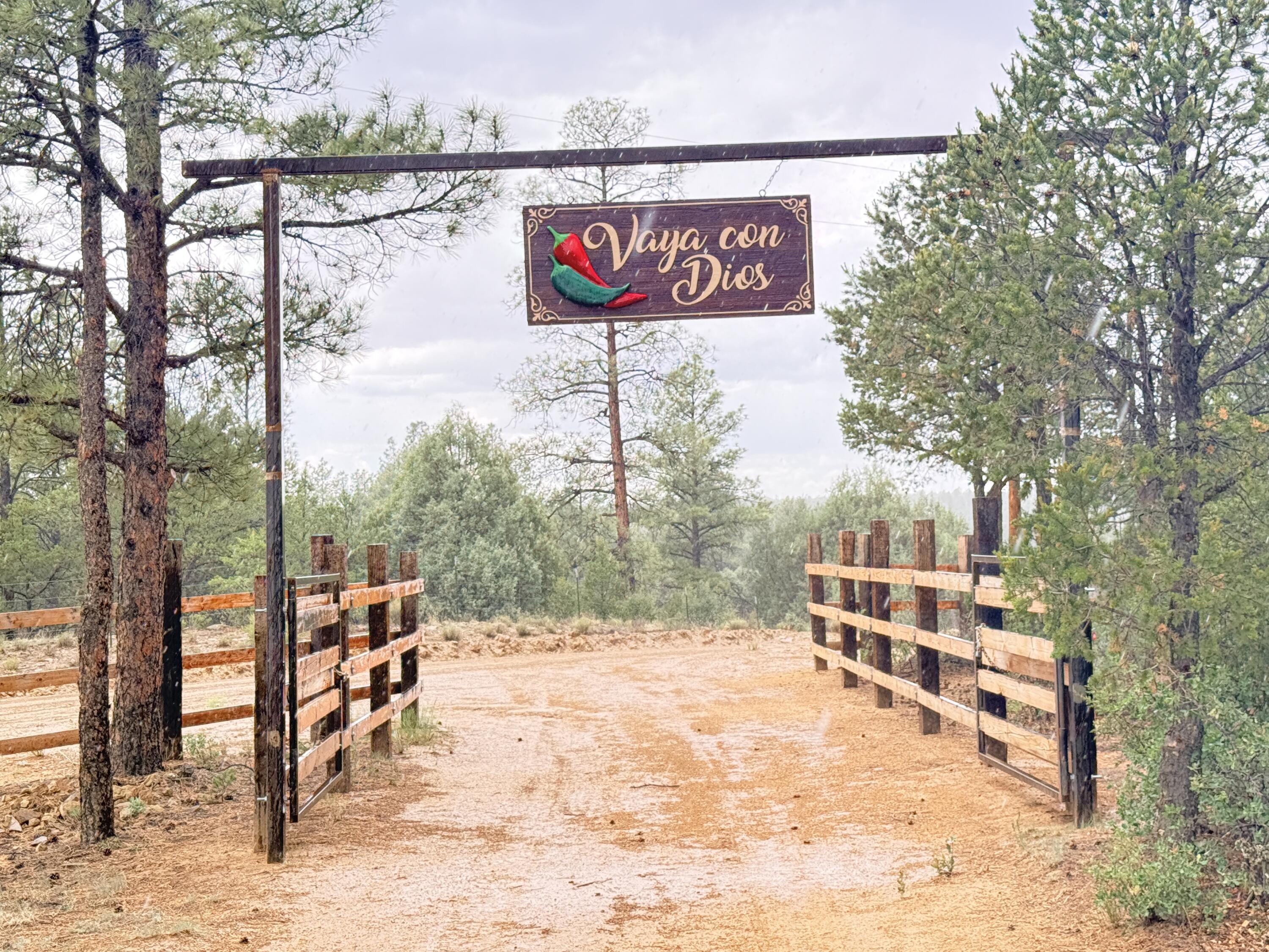 Photo 2 — 37 Lasso Lane