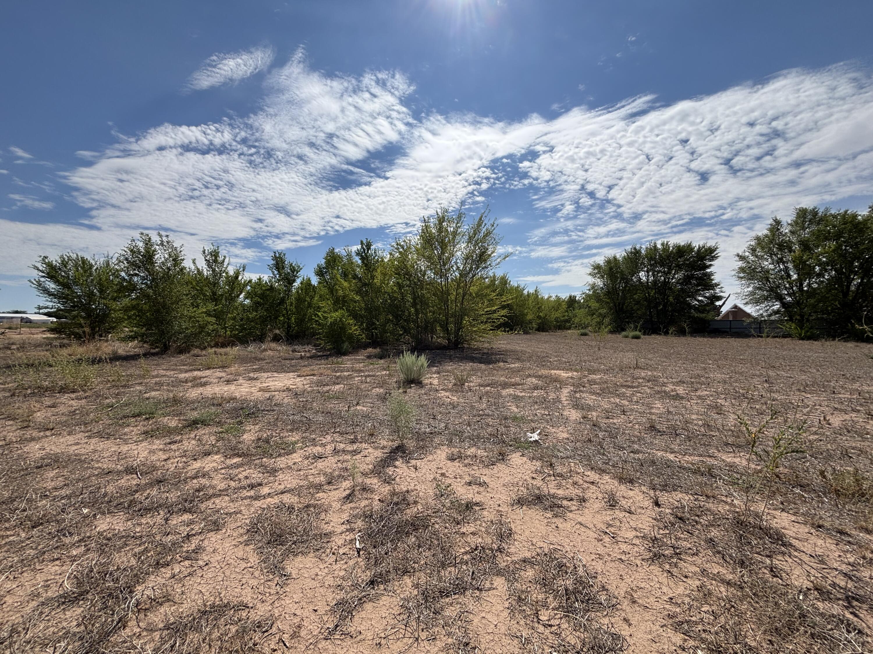 Photo 2 —  Darla (Tract 2) Drive