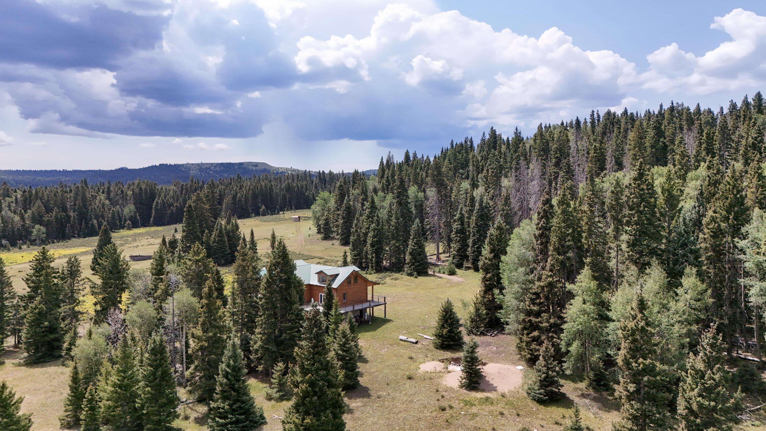 TBD USFS Road 93, Tres Piedras, NM 87577