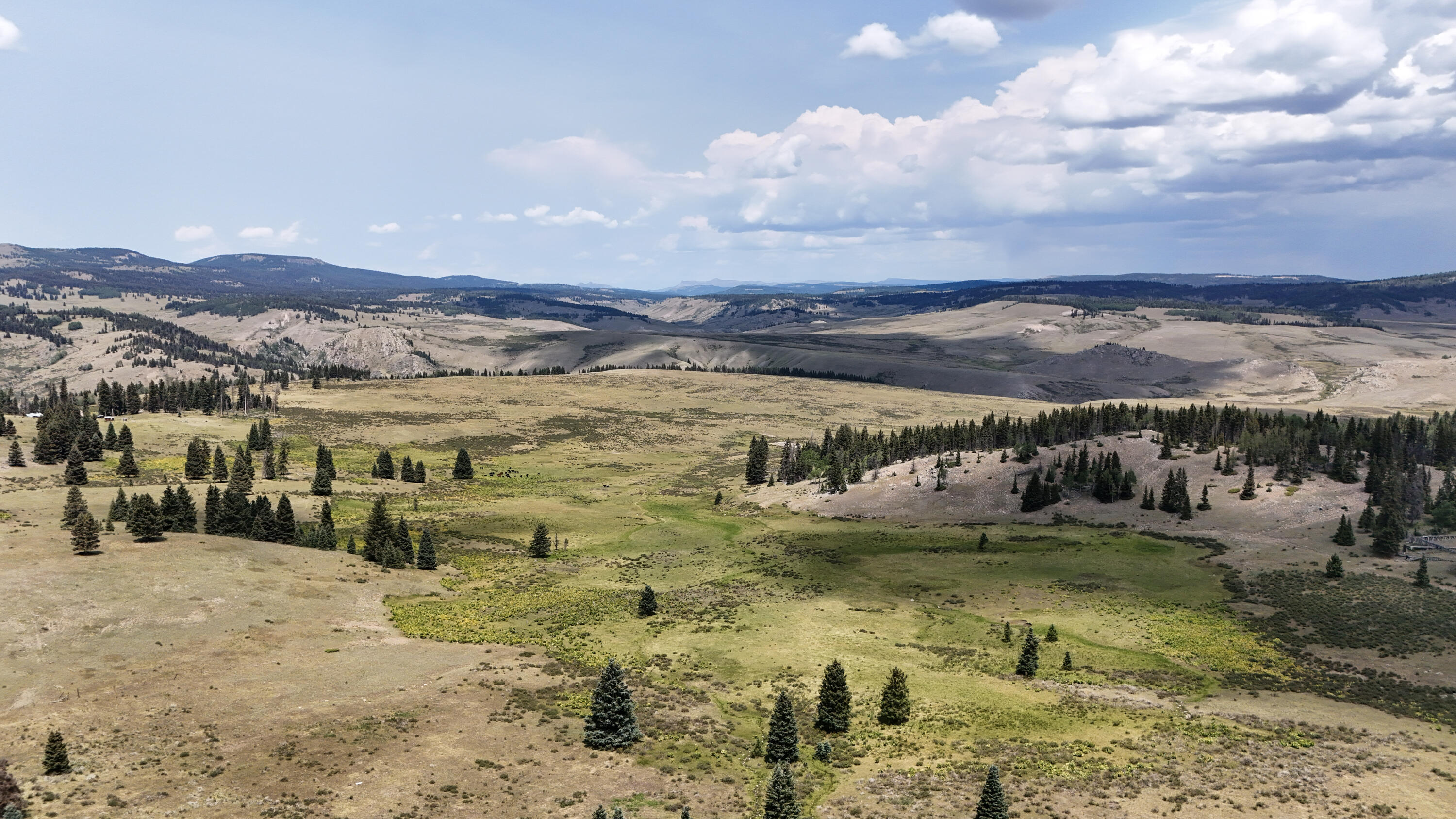 Photo 9 — TBD USFS Road 93