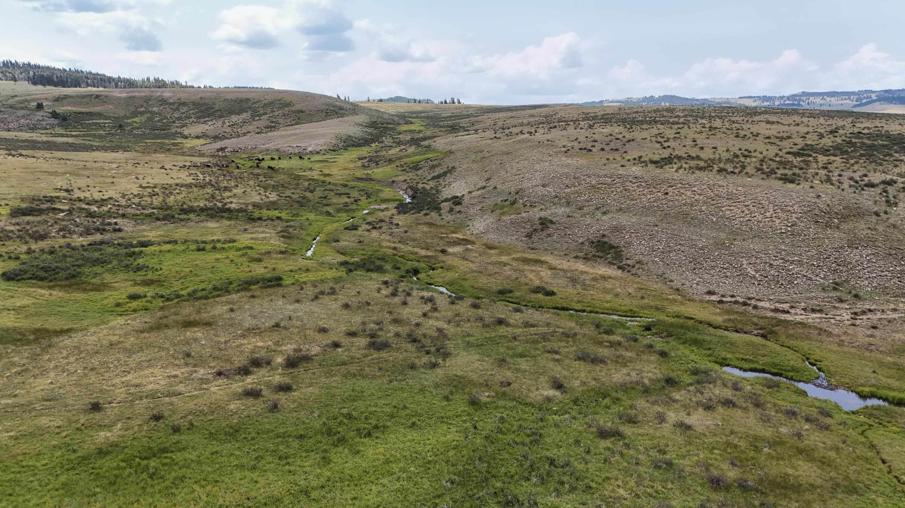 Photo 10 — TBD USFS Road 93