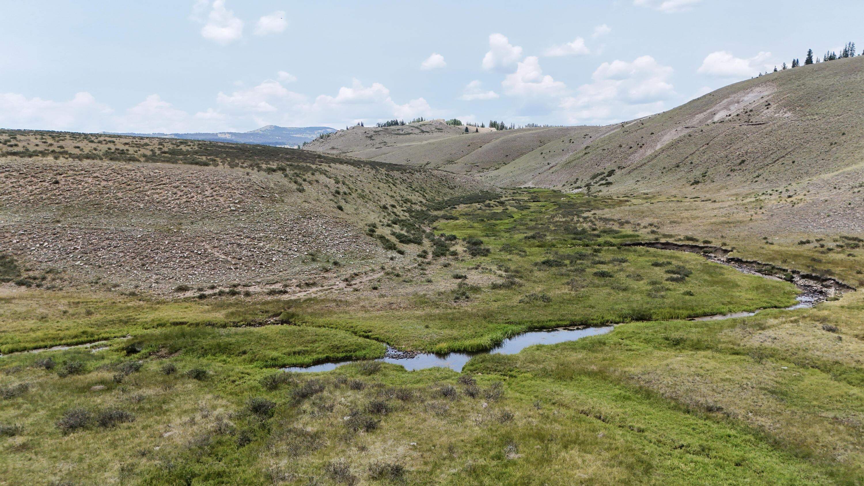 Photo 11 — TBD USFS Road 93
