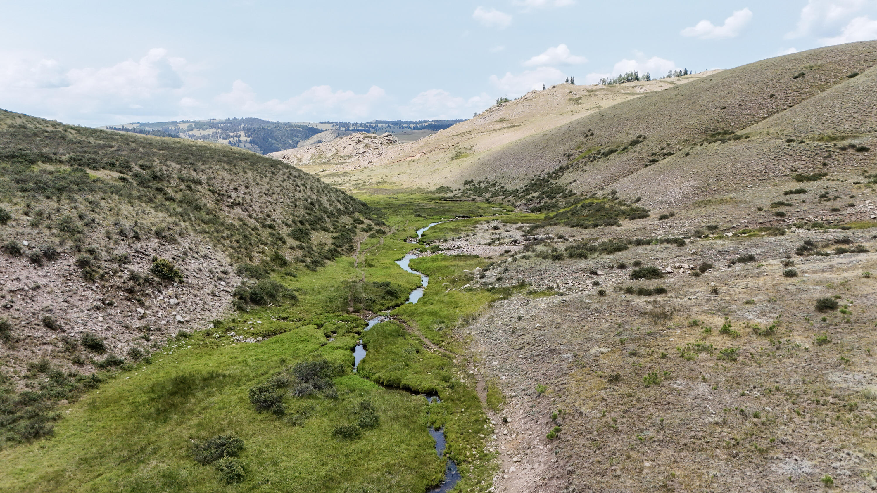 Photo 14 — TBD USFS Road 93