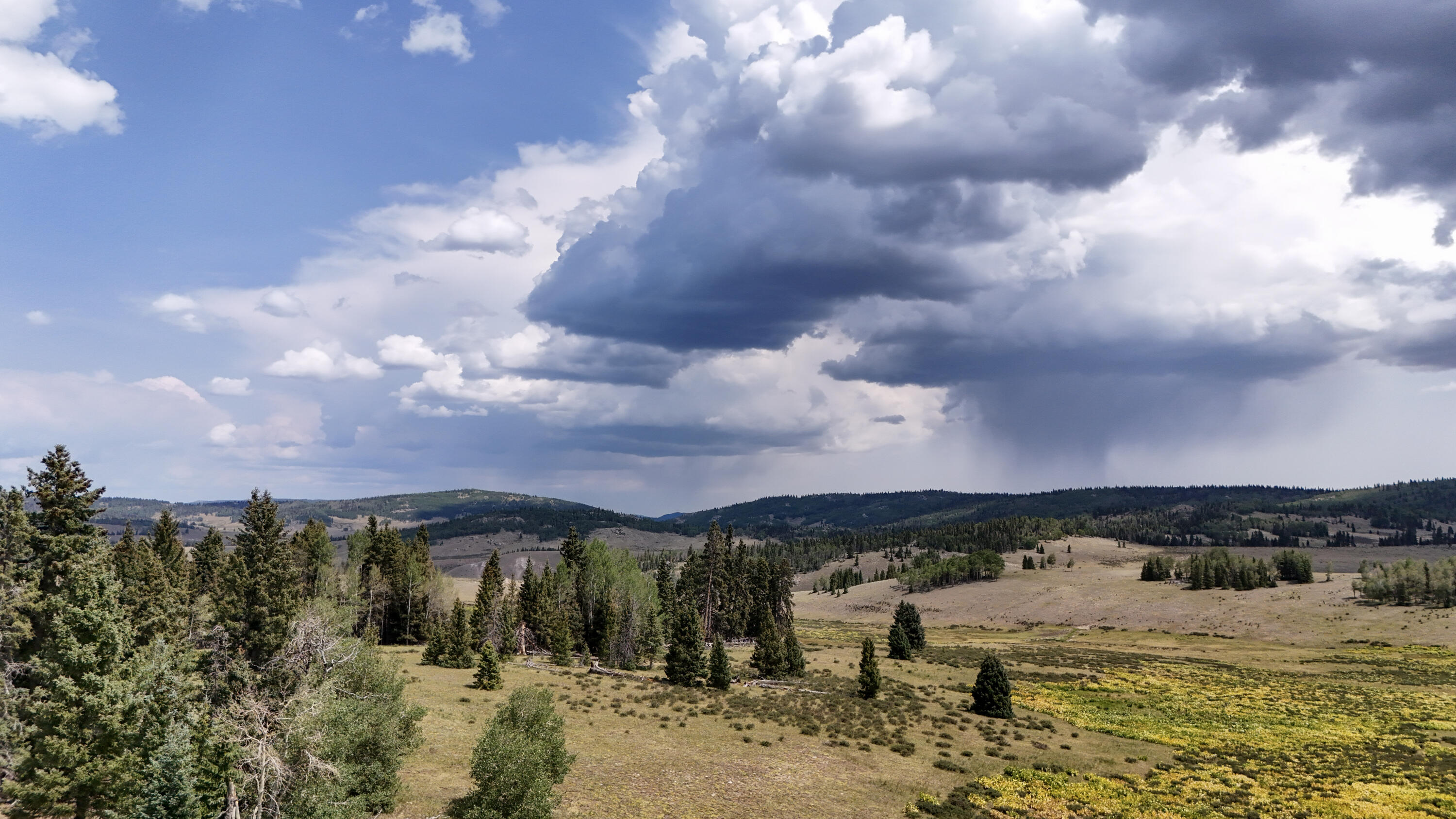 Photo 15 — TBD USFS Road 93