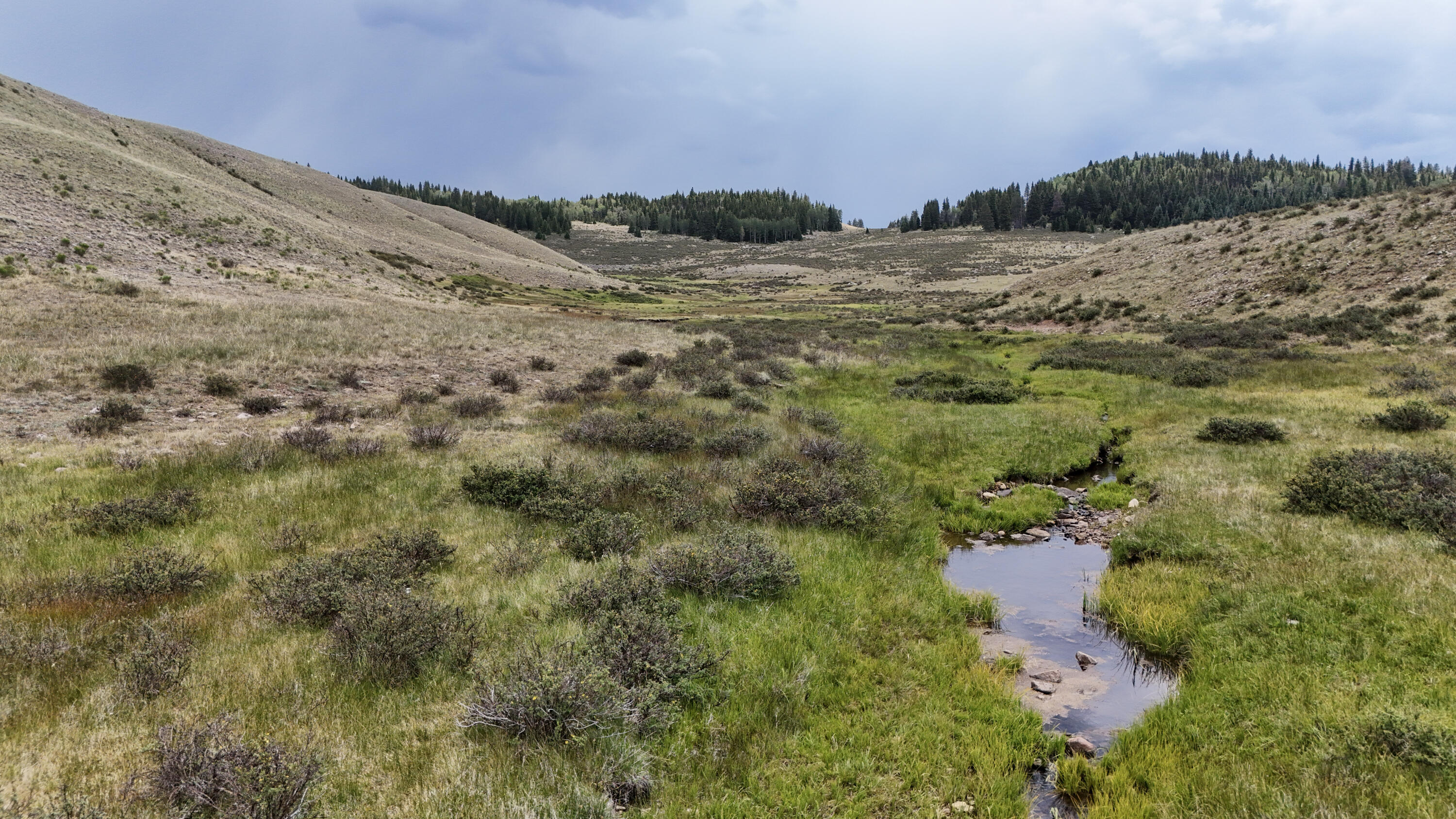 Photo 2 — TBD USFS Road 93
