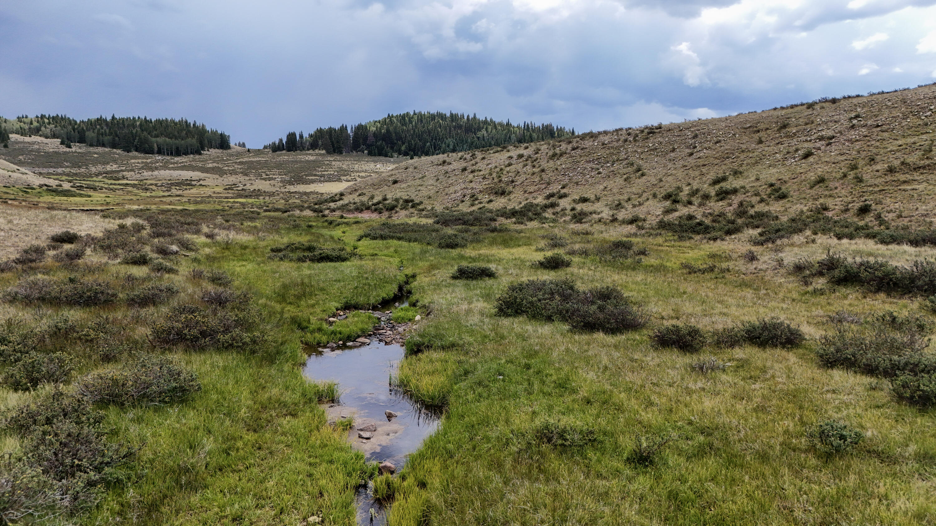 Photo 3 — TBD USFS Road 93