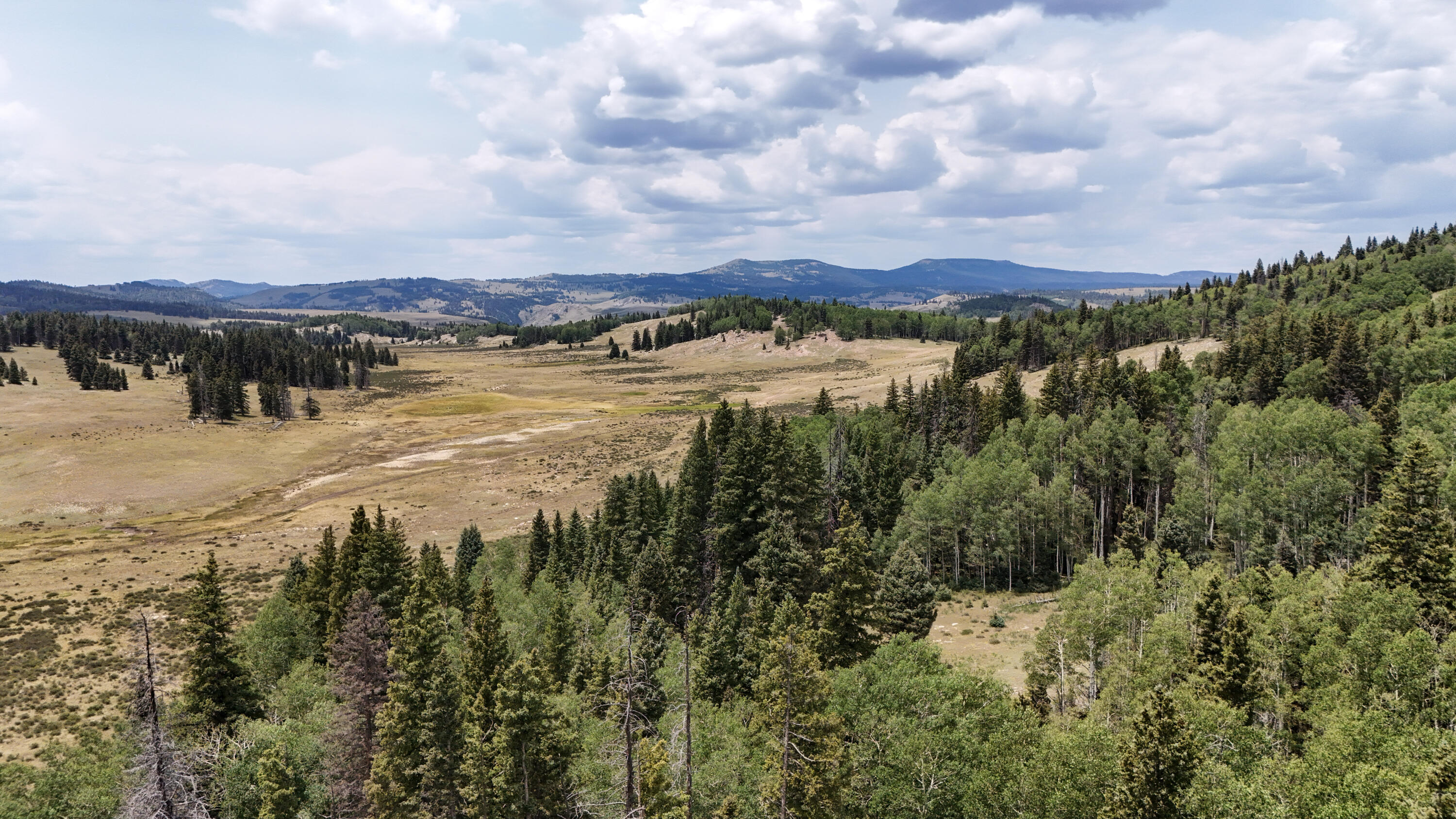 Photo 4 — TBD USFS Road 93