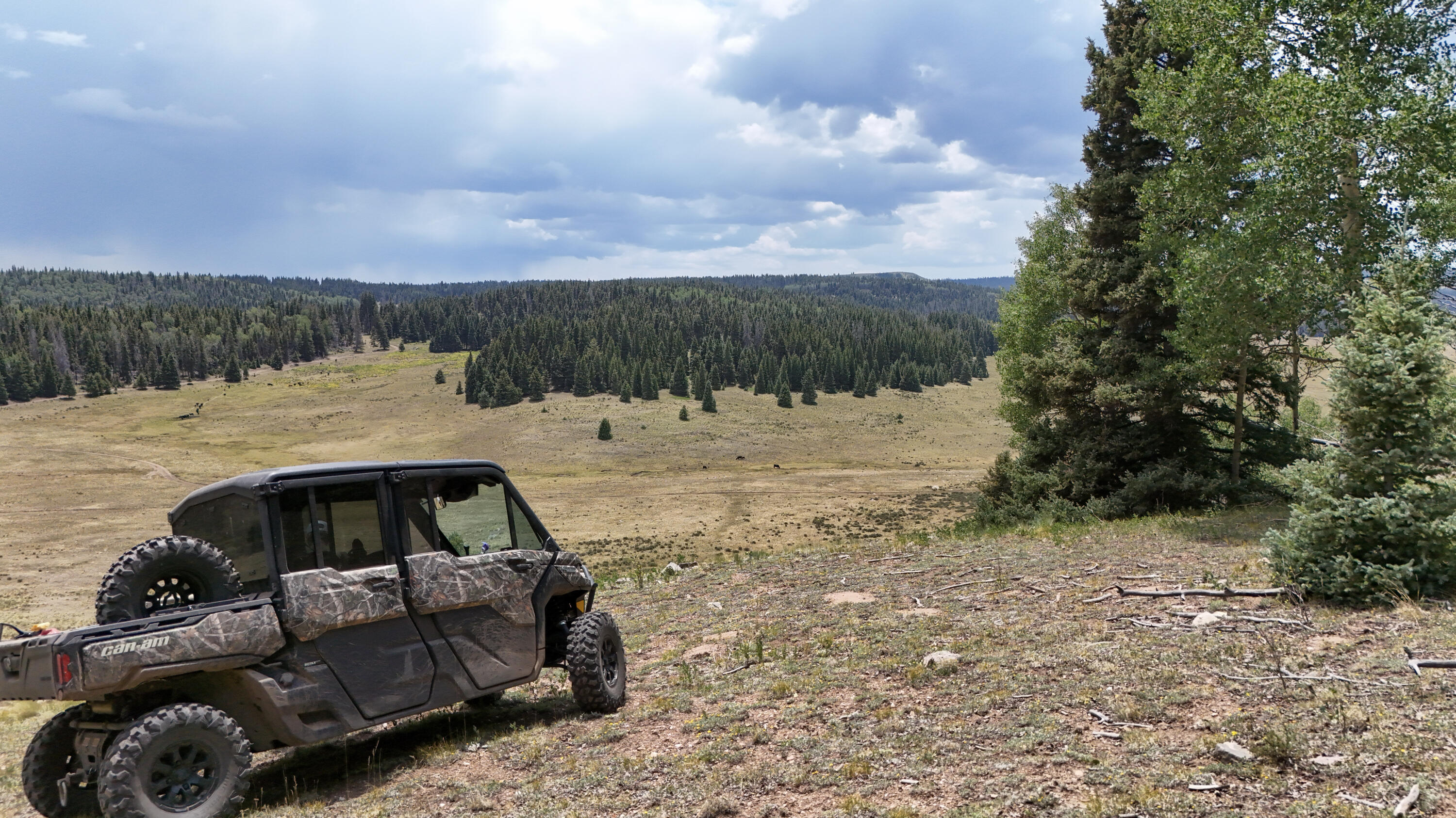 Photo 5 — TBD USFS Road 93