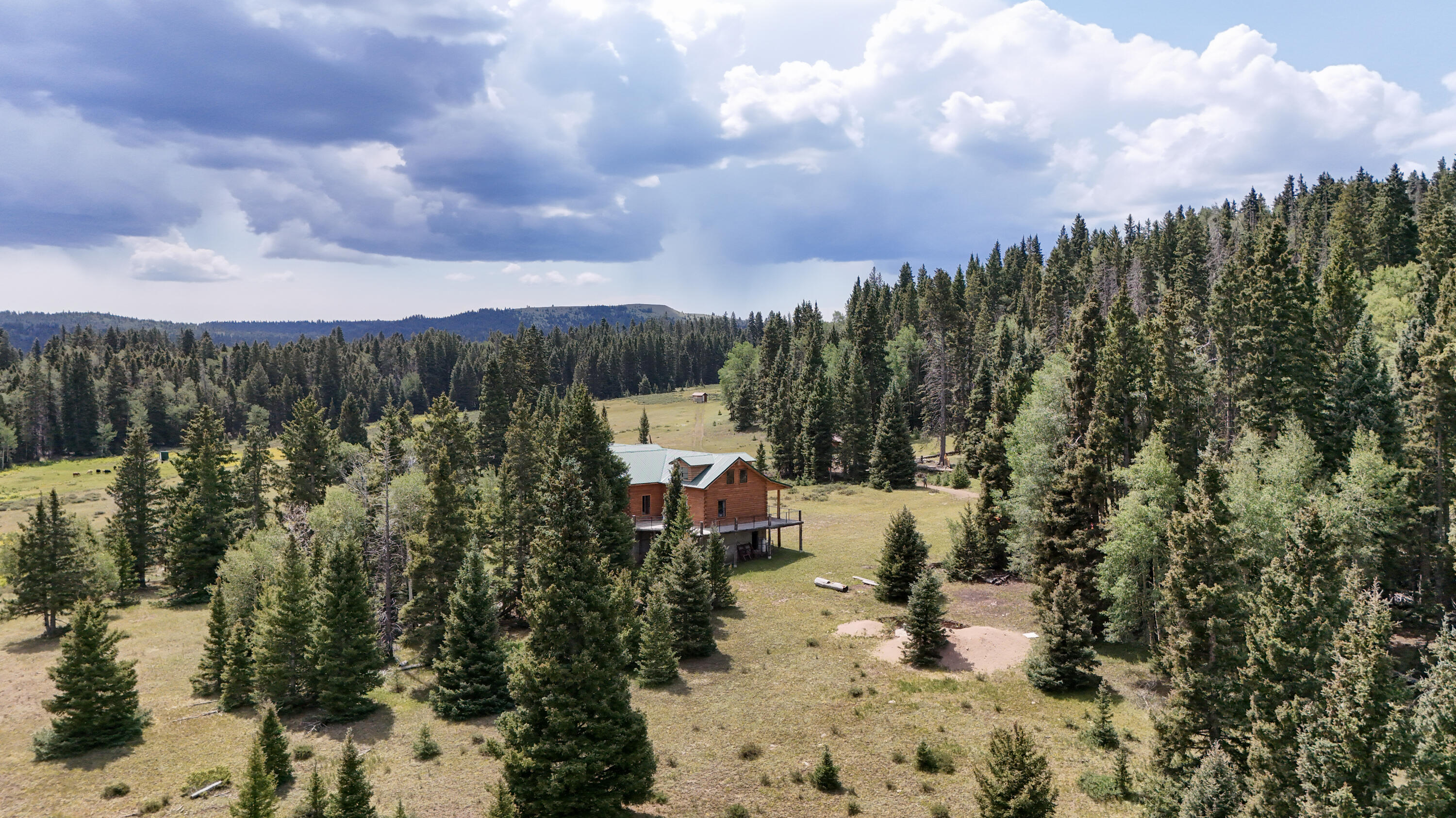 Photo 20 — TBD USFS Road 93