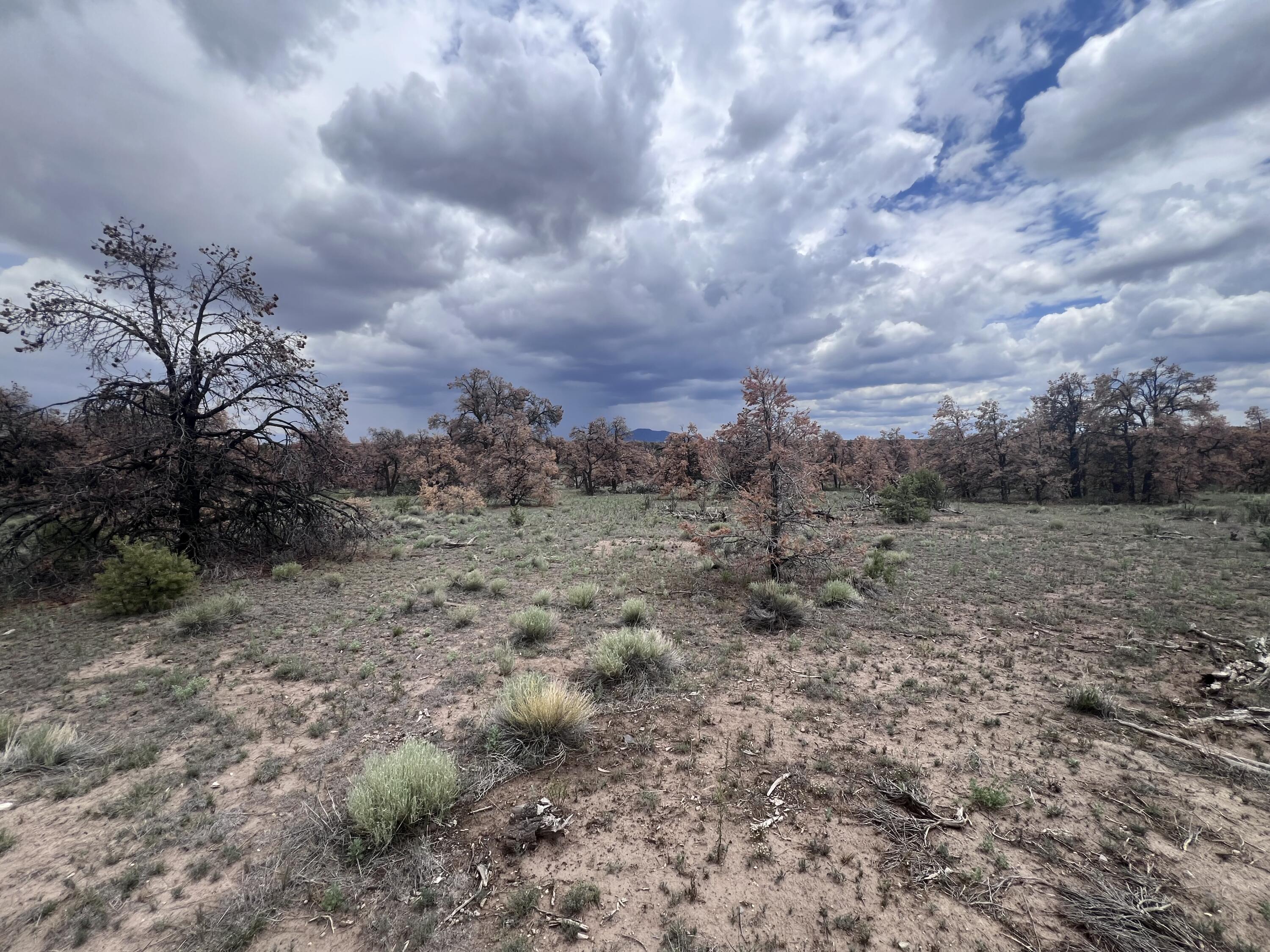 LOT 57 FOUNTAIN HILLS RD, Quemado, NM 87829