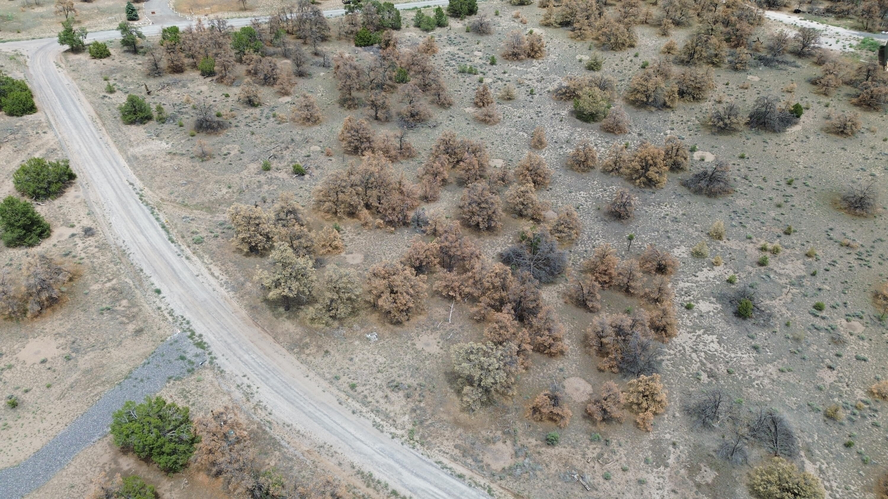 Photo 4 — LOT 57 FOUNTAIN HILLS RD
