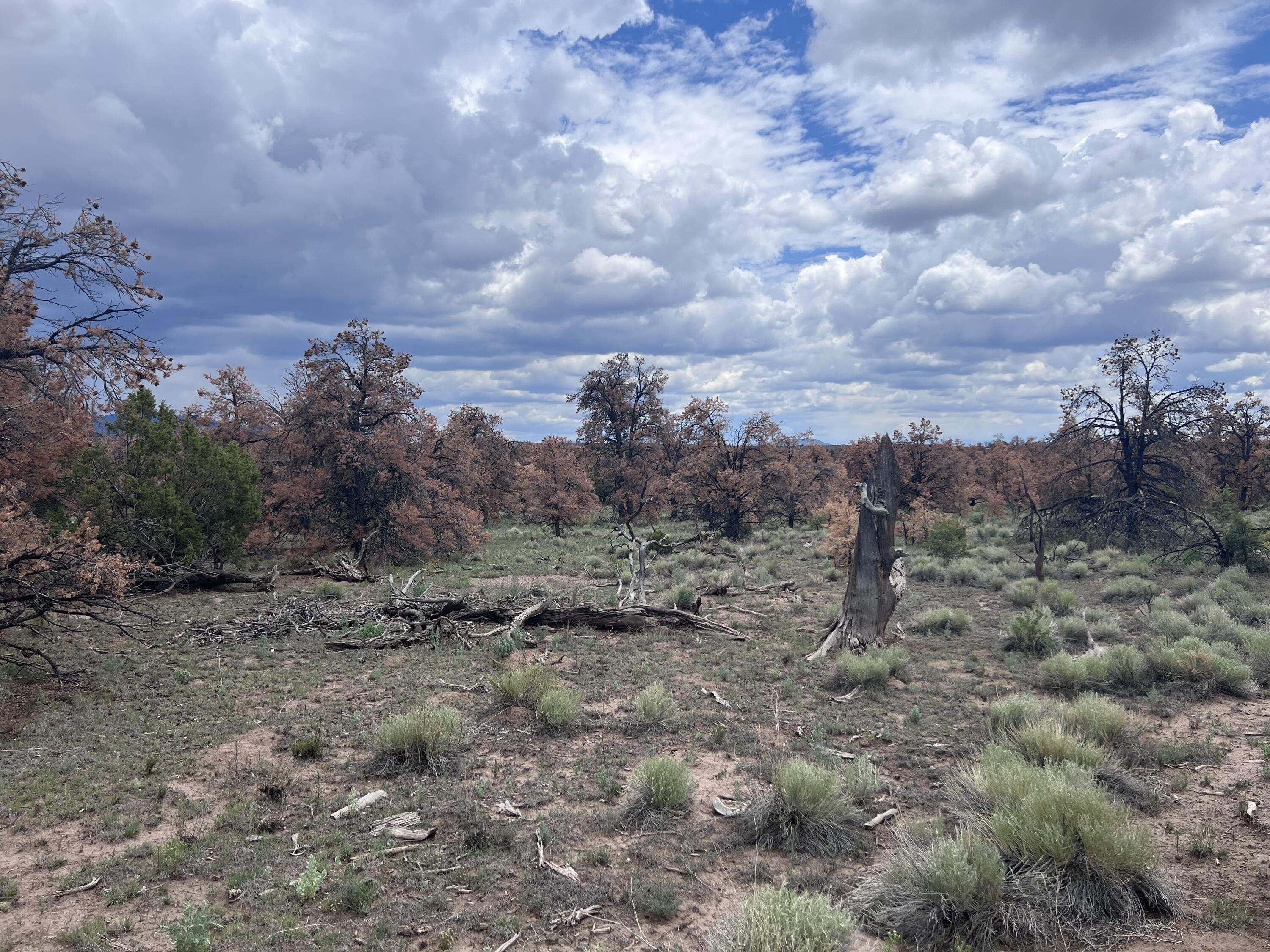 Photo 18 — LOT 57 FOUNTAIN HILLS RD