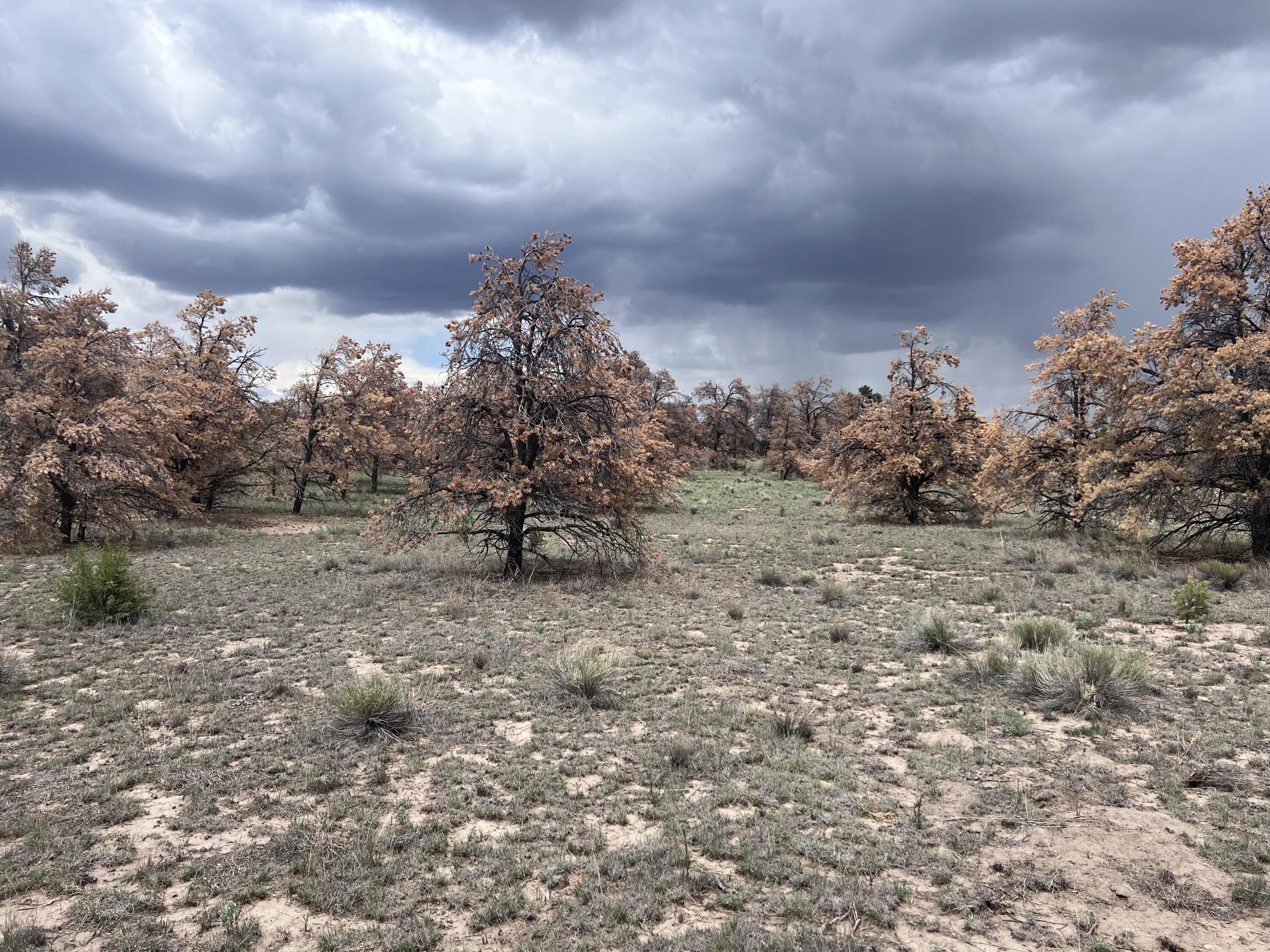 Photo 13 — LOT 57 FOUNTAIN HILLS RD