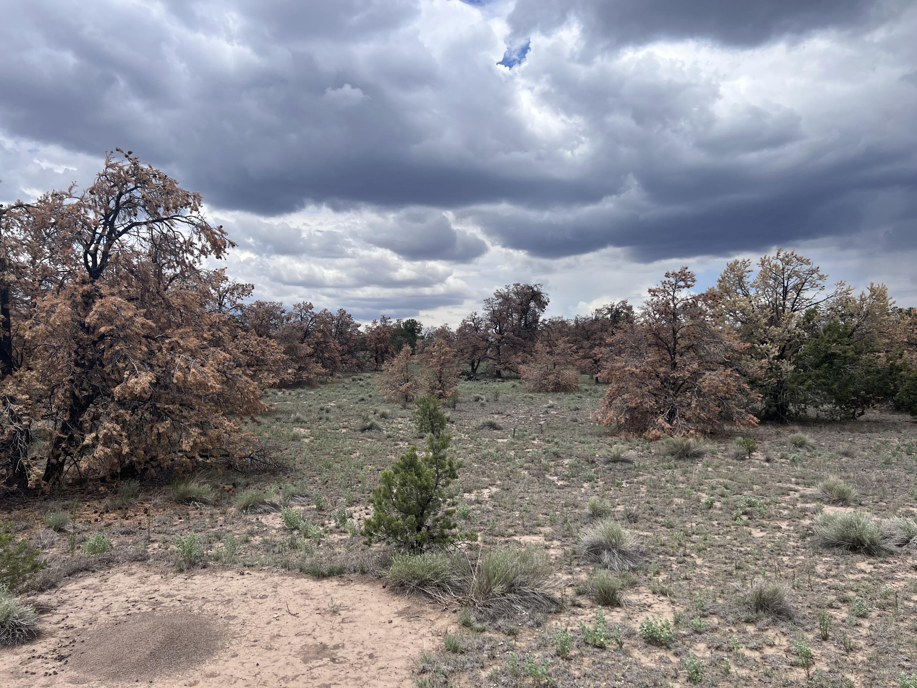 Photo 14 — LOT 57 FOUNTAIN HILLS RD