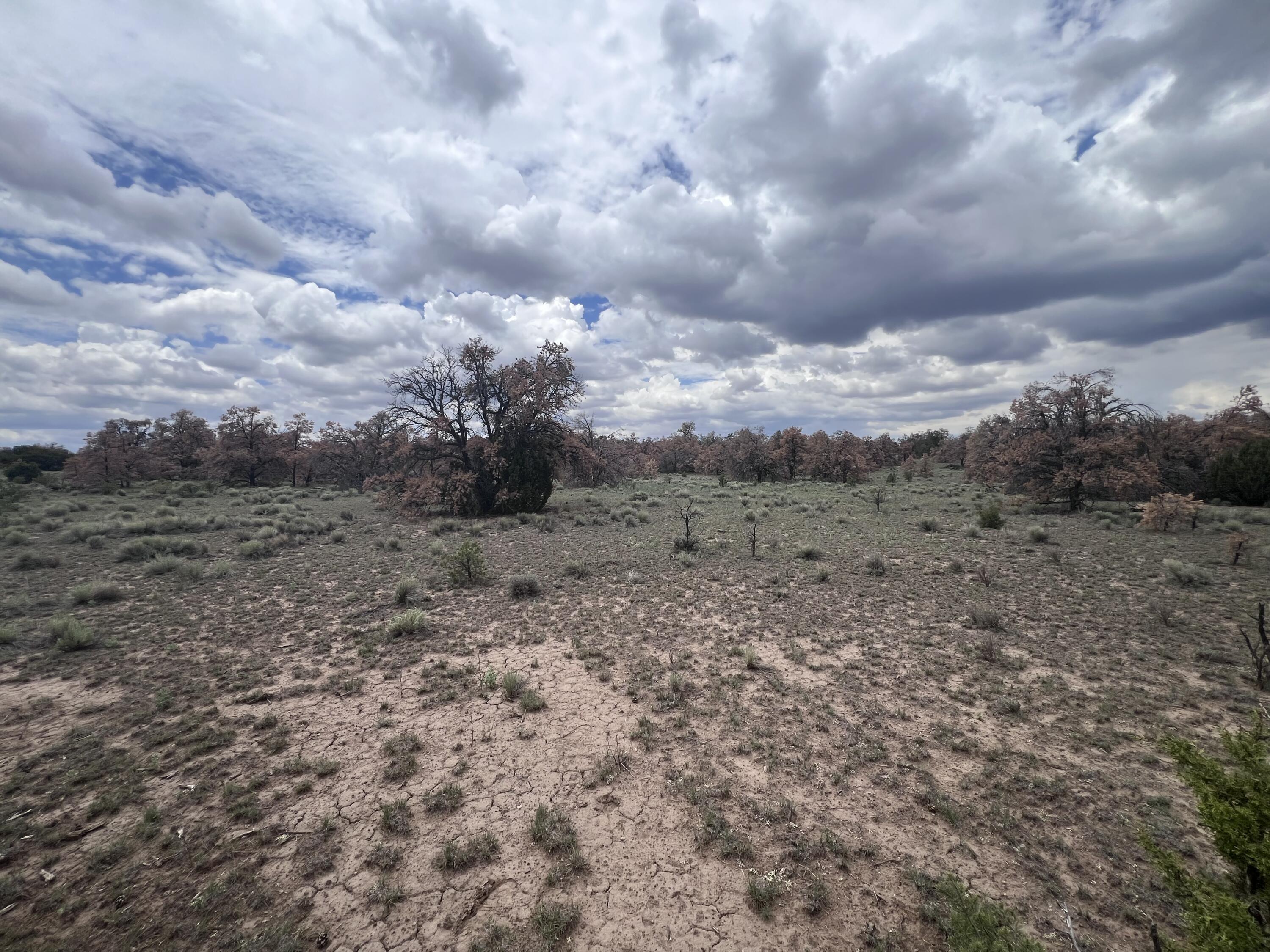 Photo 15 — LOT 57 FOUNTAIN HILLS RD